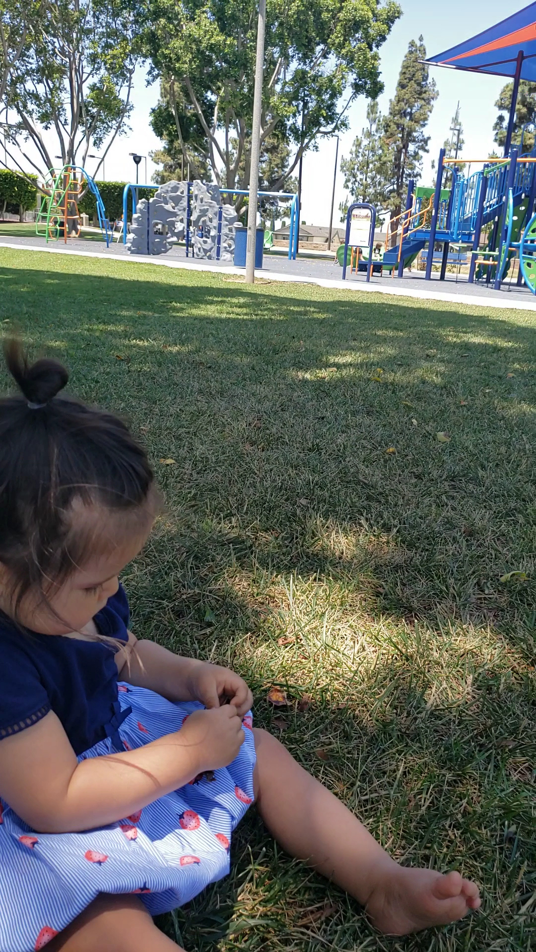 La Mirada City Gardenhill Park - La Mirada, CA