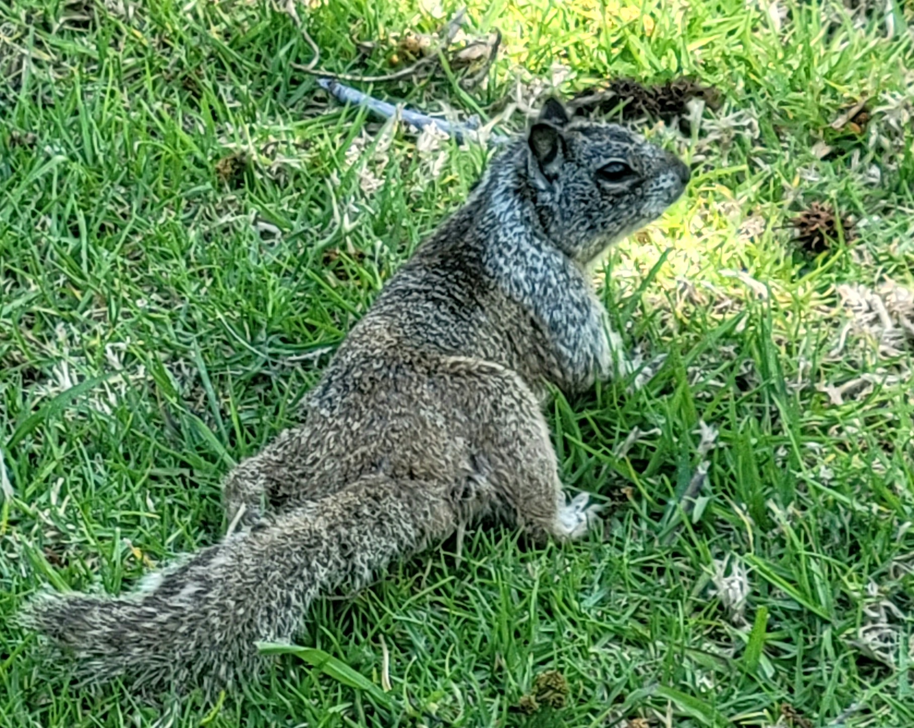 La Mirada Creek Park - La Mirada, CA