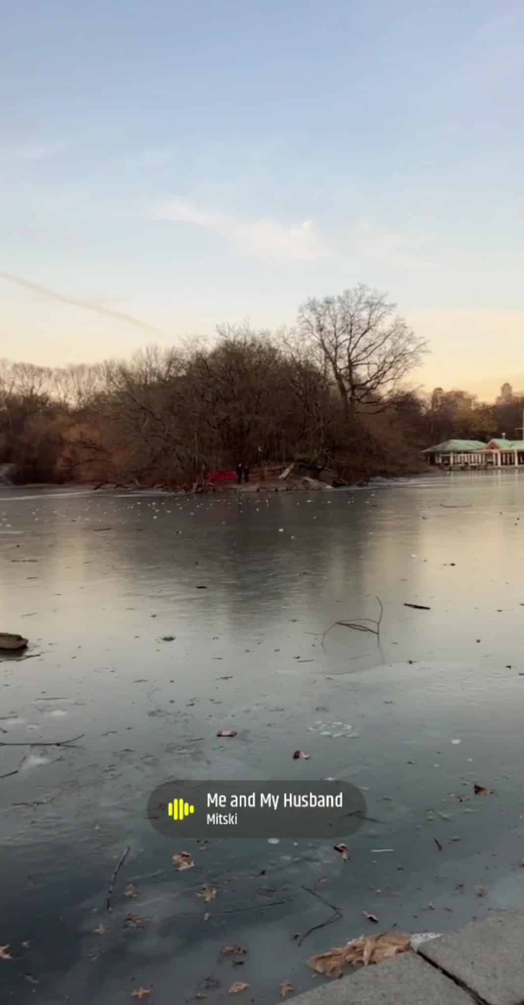 Central Park - La Palma, CA