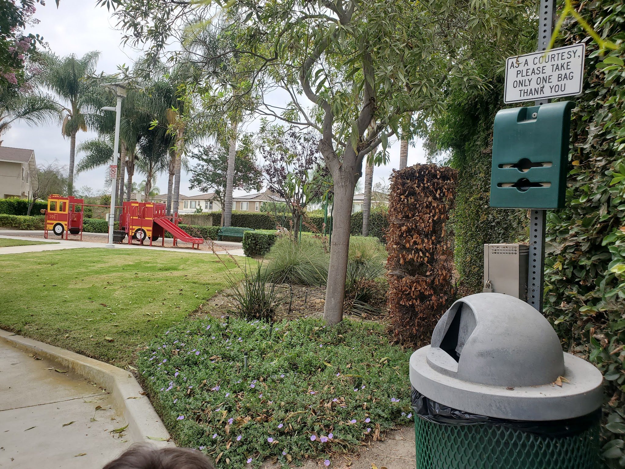 Denni Street Park - La Palma, CA