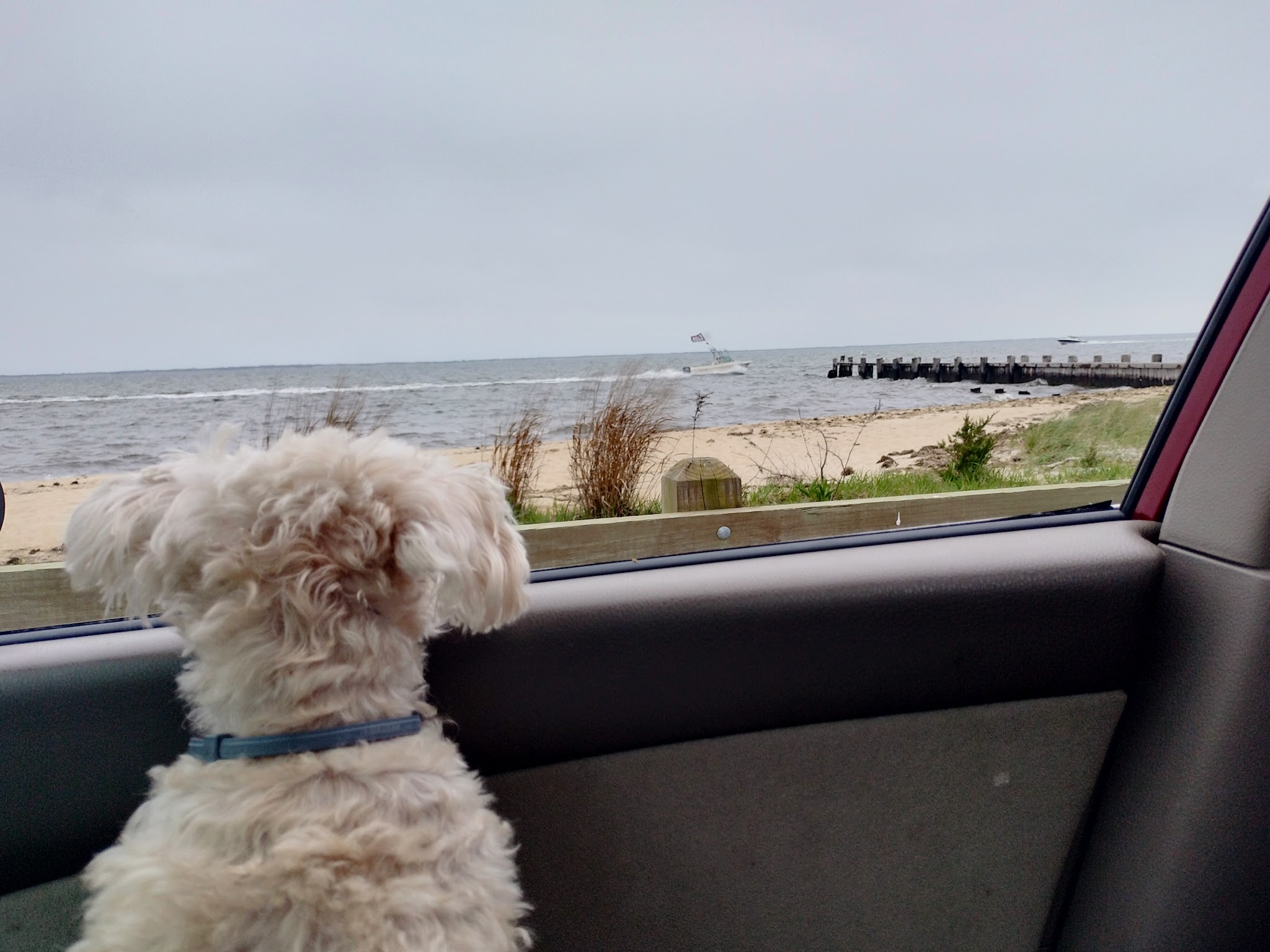 Laurel Boulevard Gazebo - Lanoka Harbor, NJ