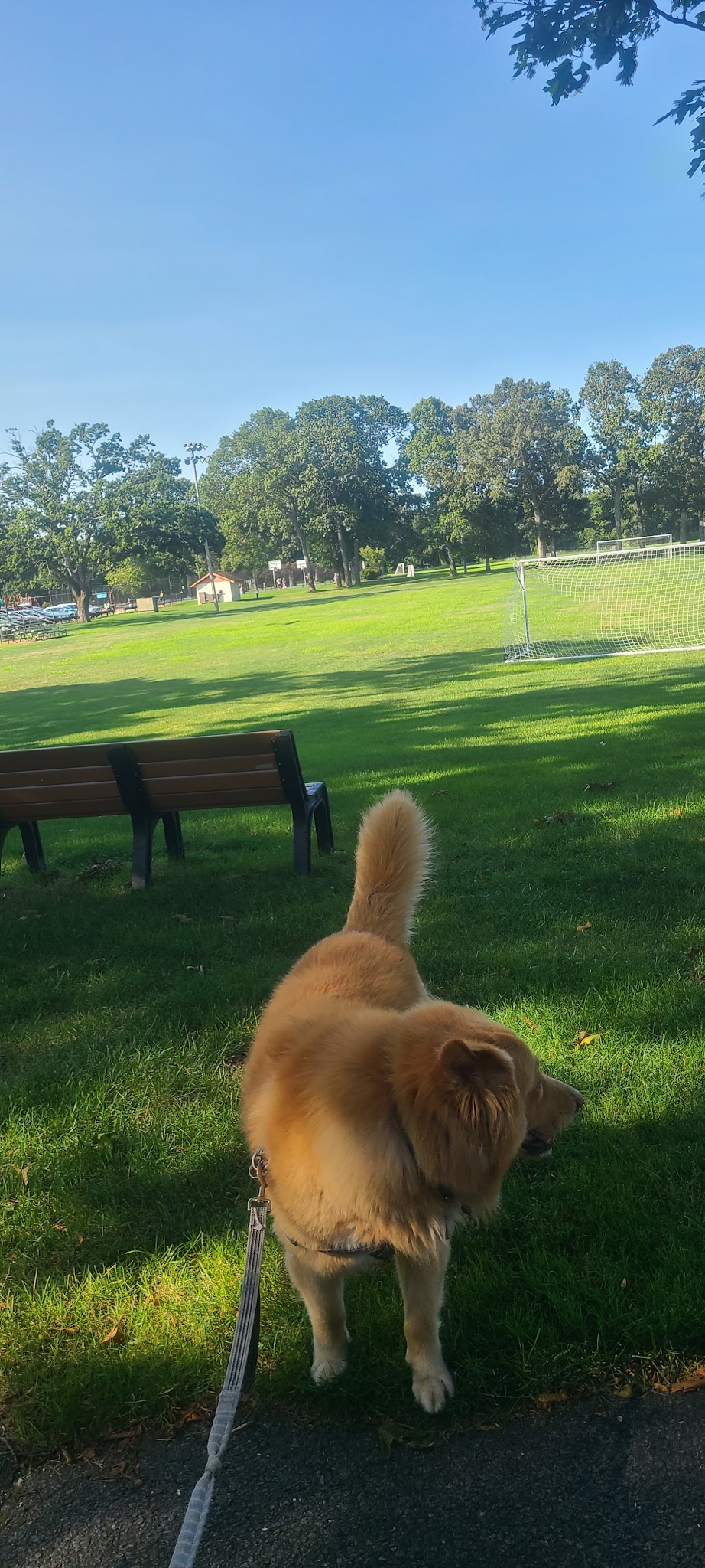 William Hebrew Park - Lanoka Harbor, NJ