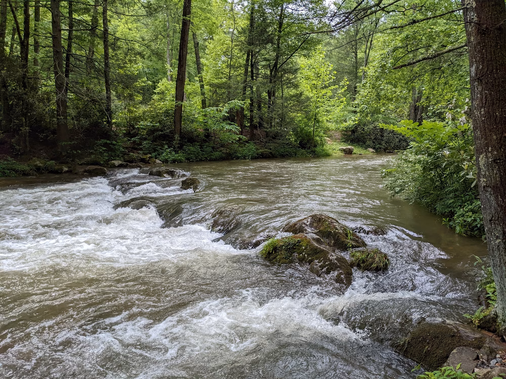 Laurel Creek Trail - Laurel Bloomery, TN