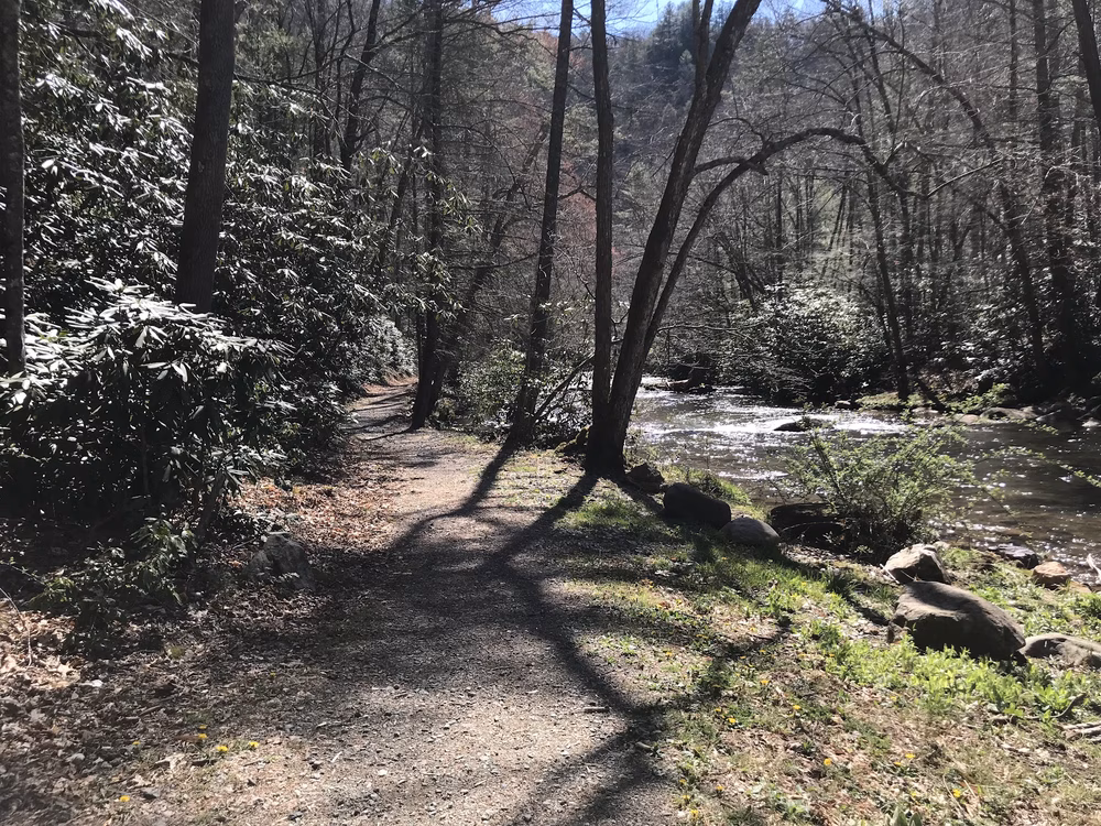 Laurel Creek Trail - Laurel Bloomery, TN