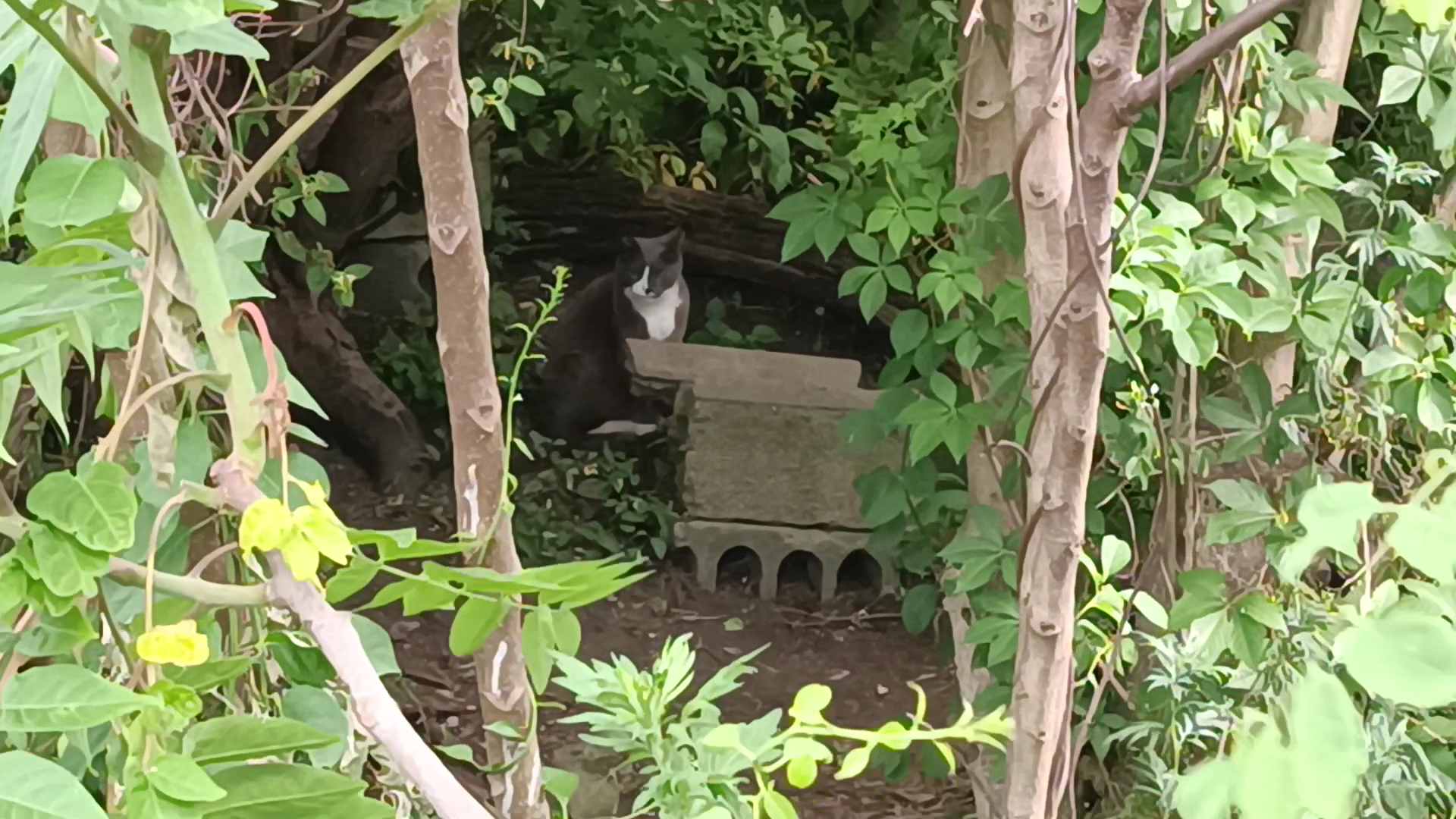 Old Bridge Waterfront Park - Laurence Harbor, NJ