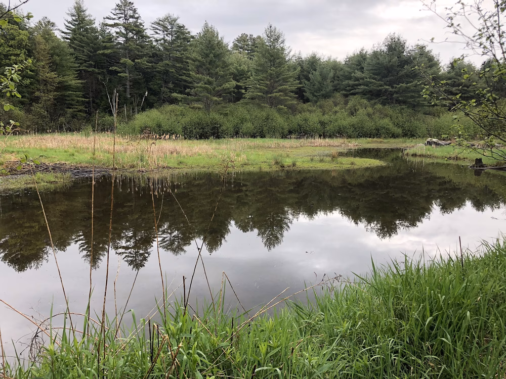 Landmark Tract / Boston Lot - Lebanon, NH