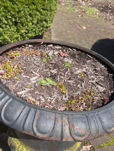 Coleman Memorial Park - Lebanon, PA