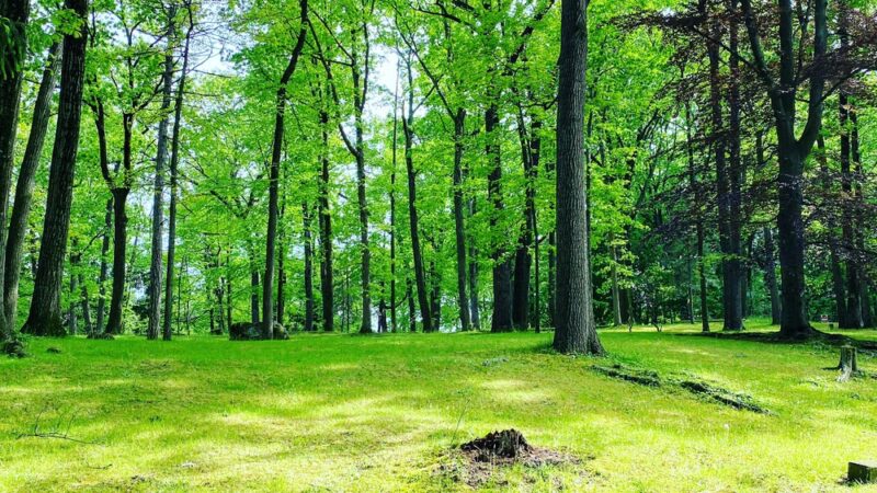 Coleman Memorial Park - Lebanon, PA