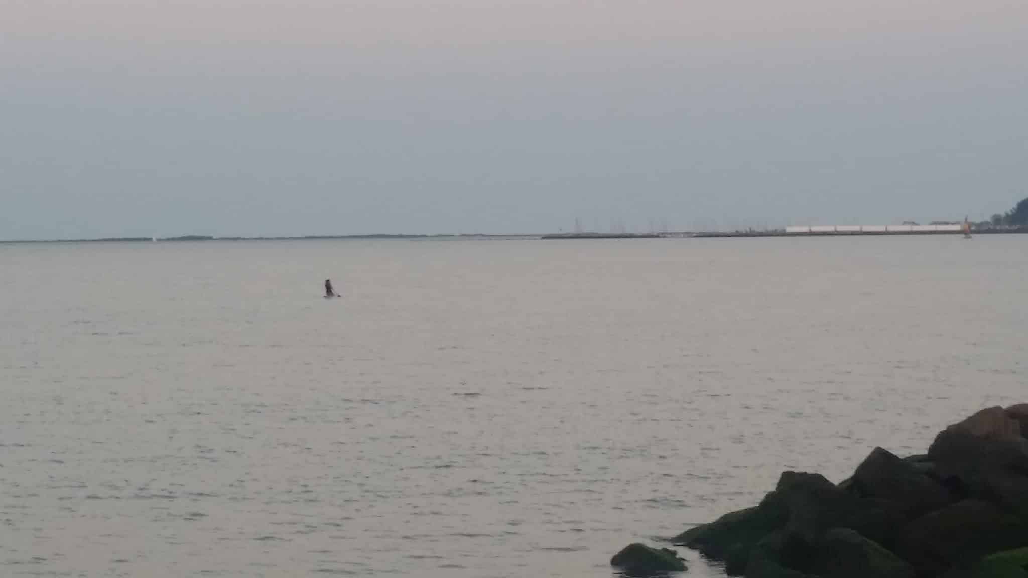 Henry Hudson Trail - Leonardo, NJ