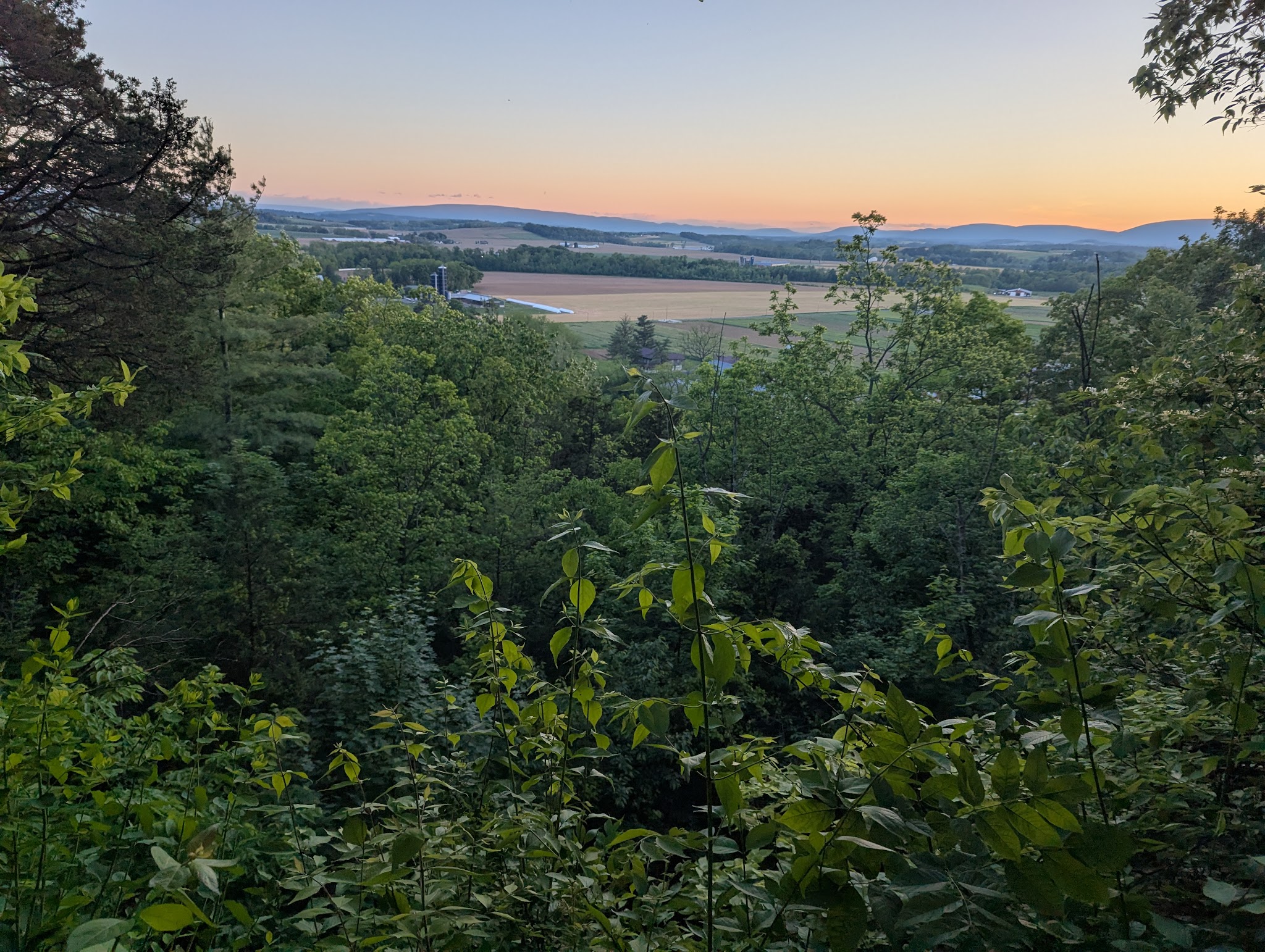 Dale's Ridge Trail - Lewisburg, PA