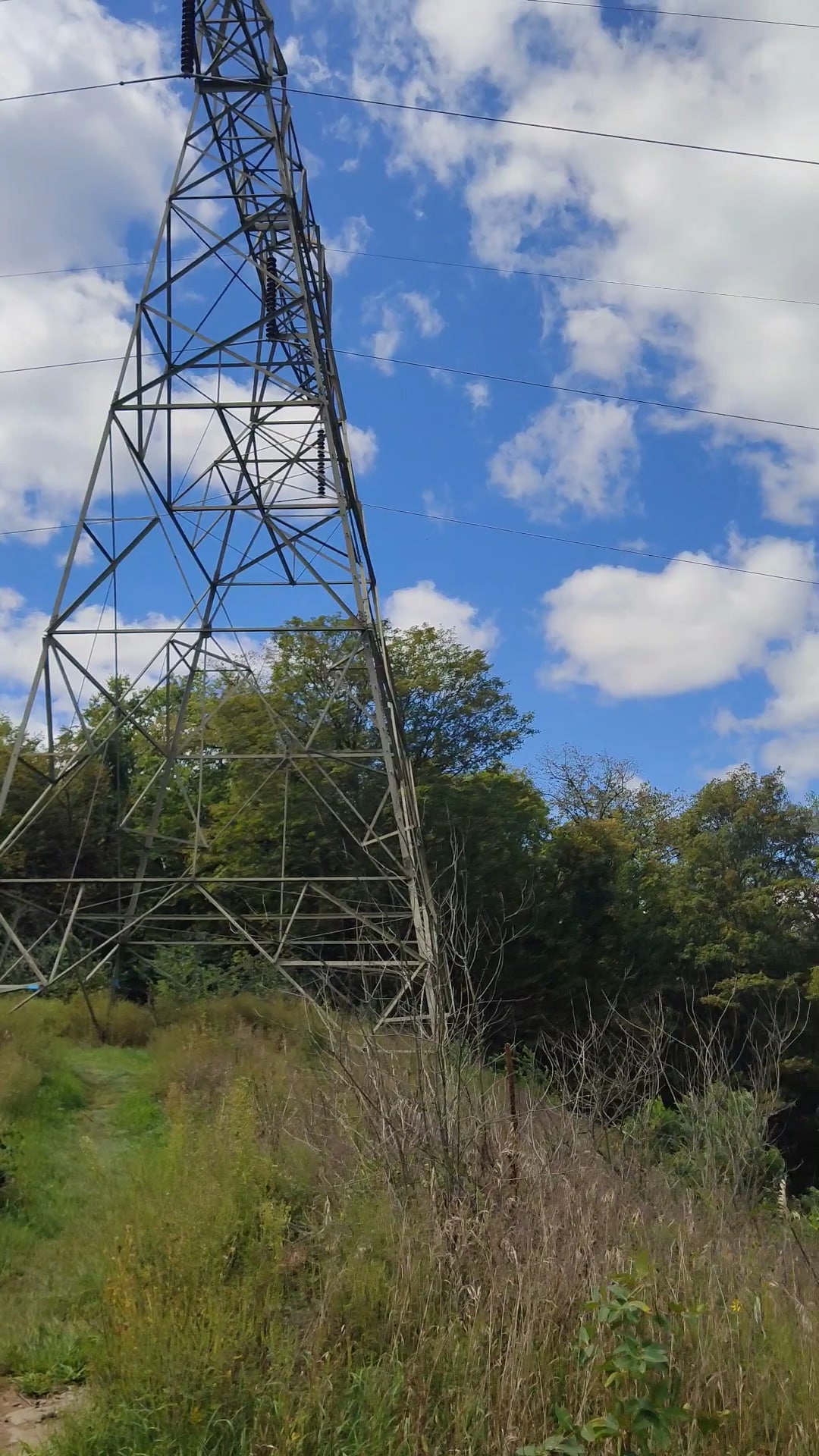 Dale's Ridge Trail - Lewisburg, PA