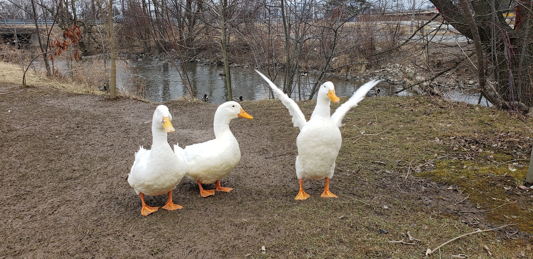 Fairground Road Park - Lewisburg, PA