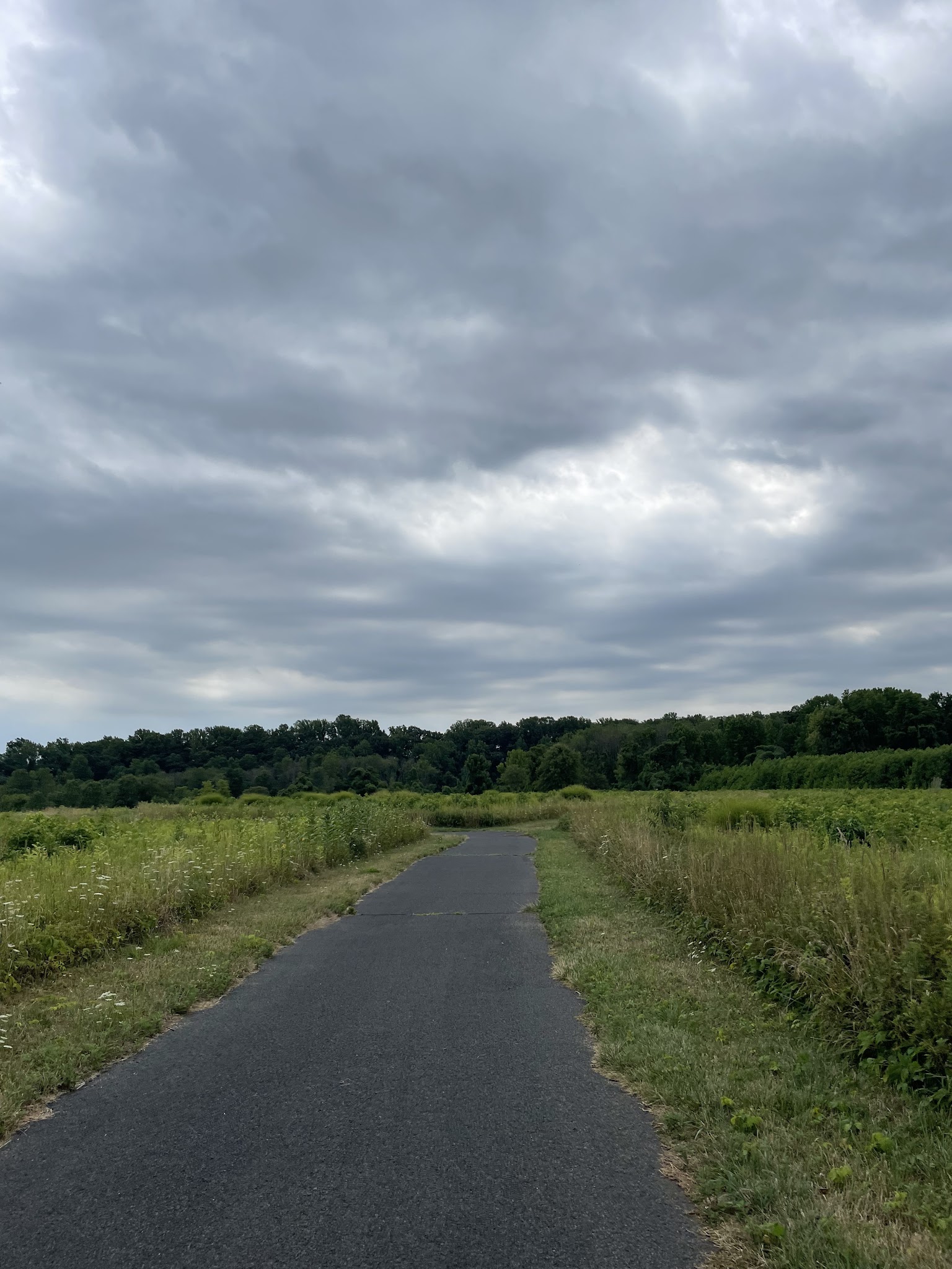 The Lexi Trail - Lincroft, NJ