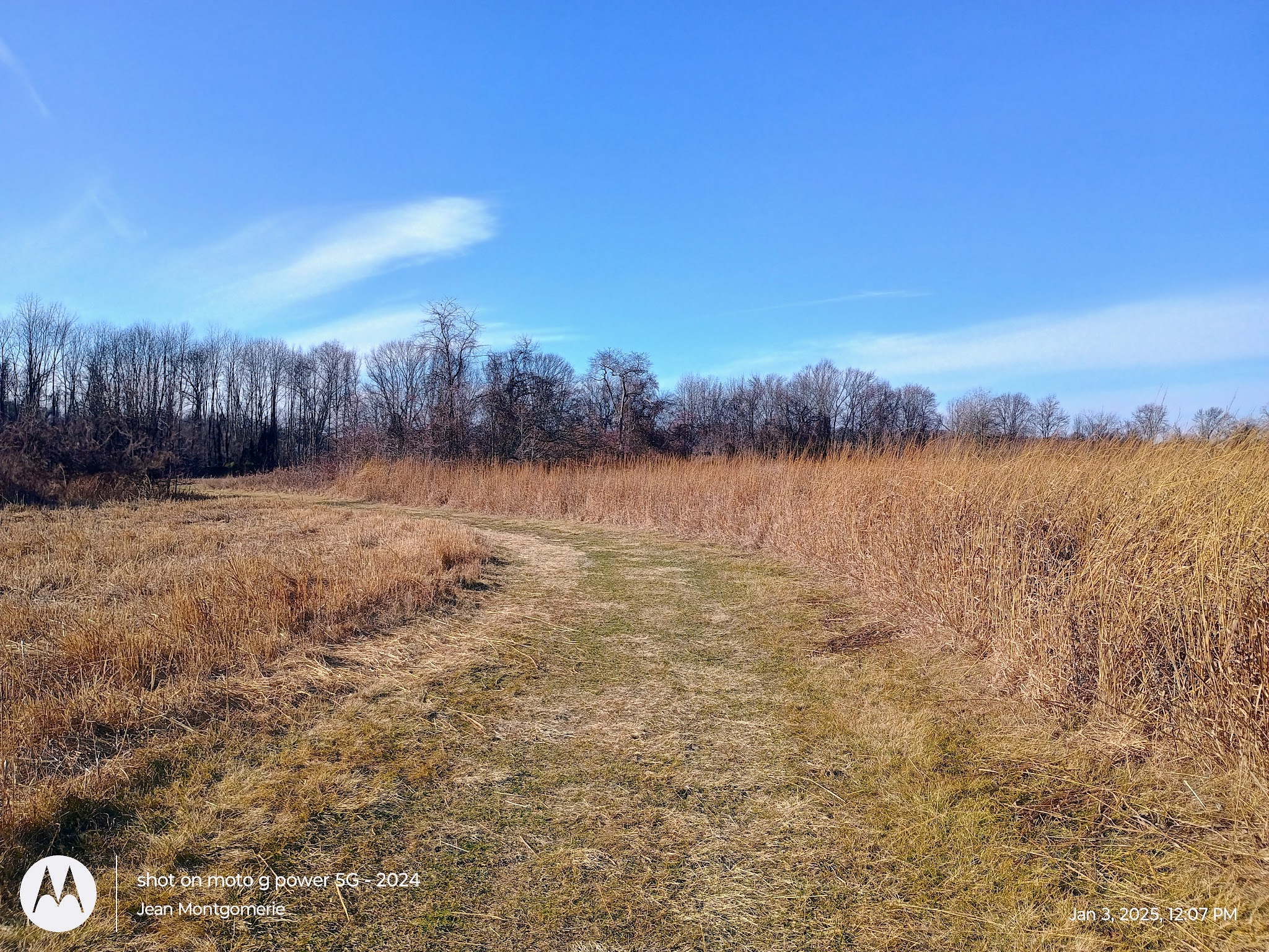 The Lexi Trail - Lincroft, NJ