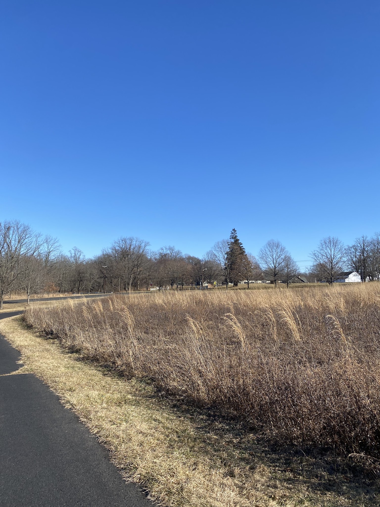 The Lexi Trail - Lincroft, NJ