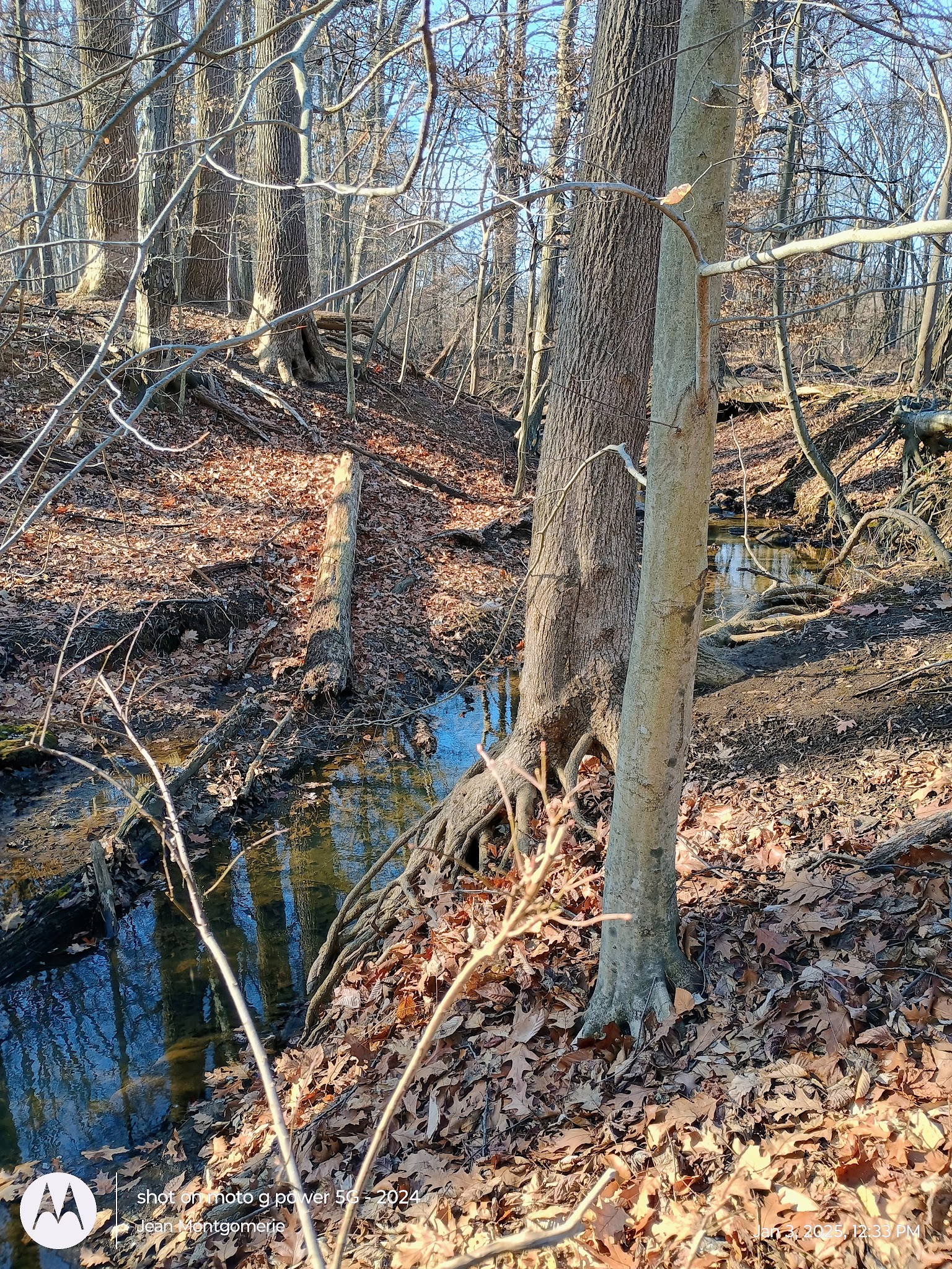 The Lexi Trail - Lincroft, NJ