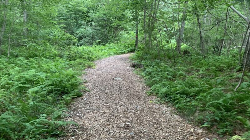 Burnham Tavern Trail (Parking) - Lisbon, CT