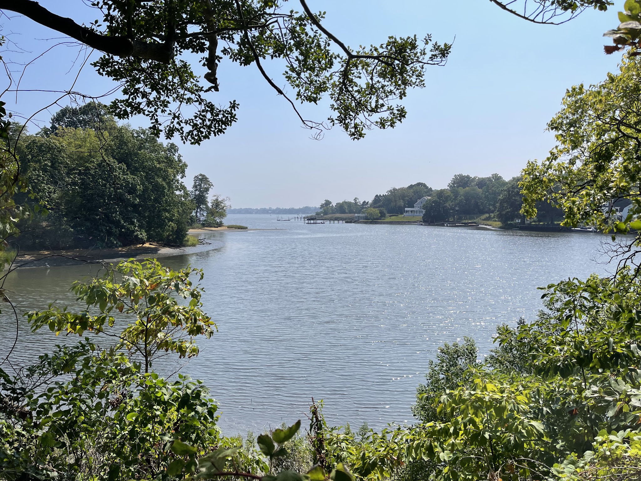Claypit Creek - Locust, NJ