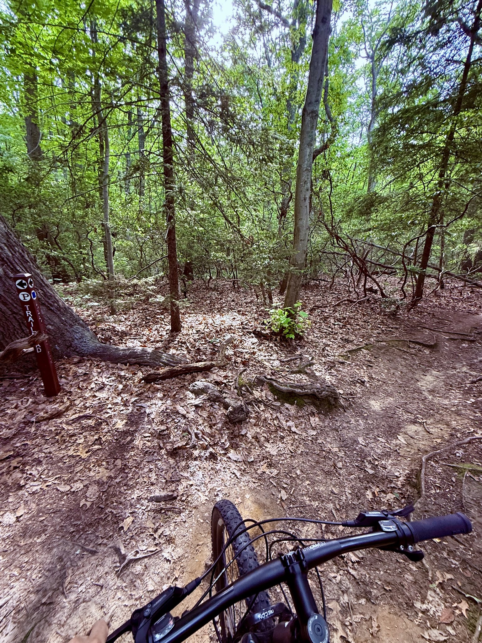 Huber Woods Park - Locust, NJ
