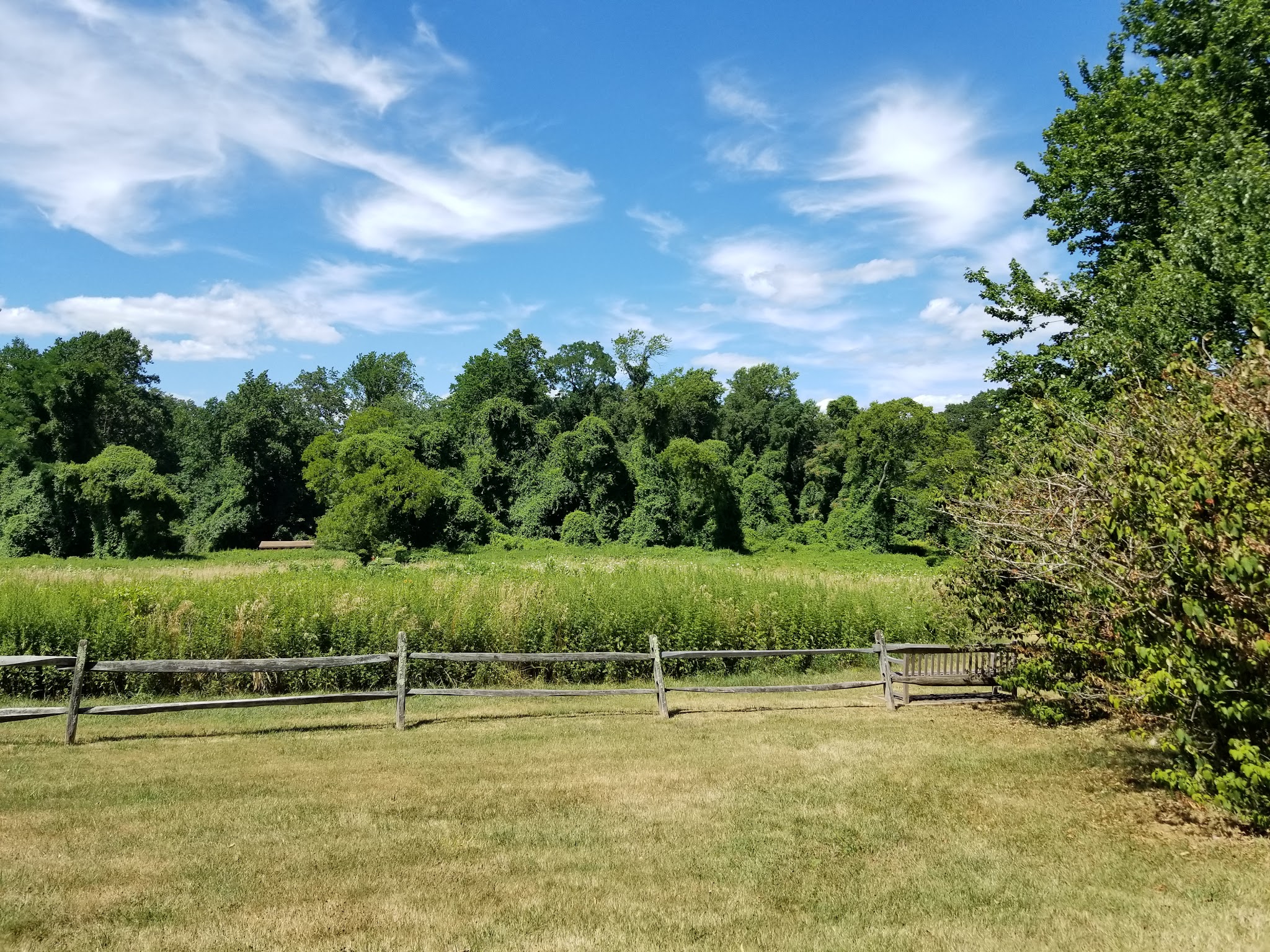 Huber Woods Park - Locust, NJ