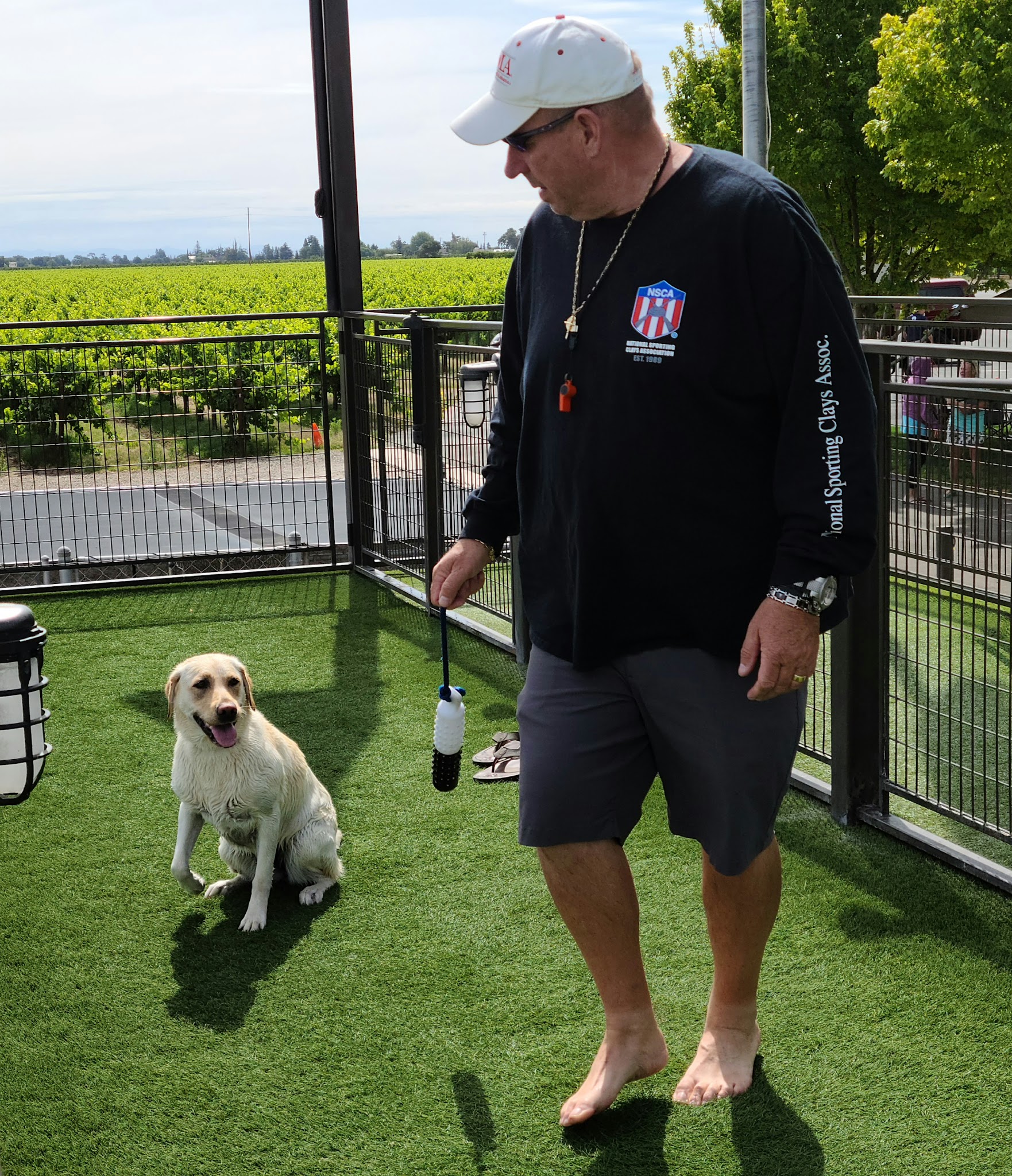 All Dogs Sports Park, LLC - Lodi, CA