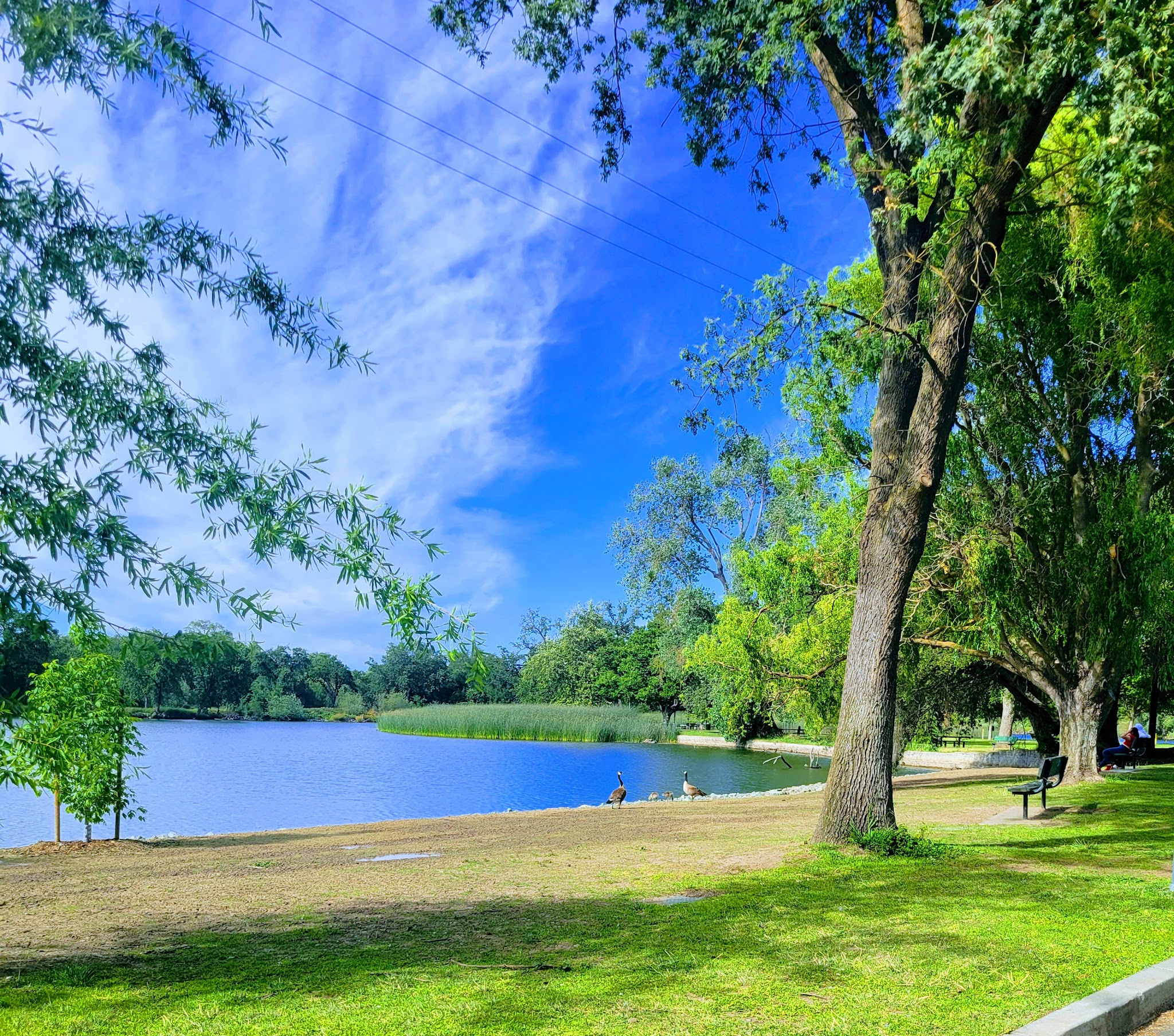 Lodi Lake - Lodi, CA