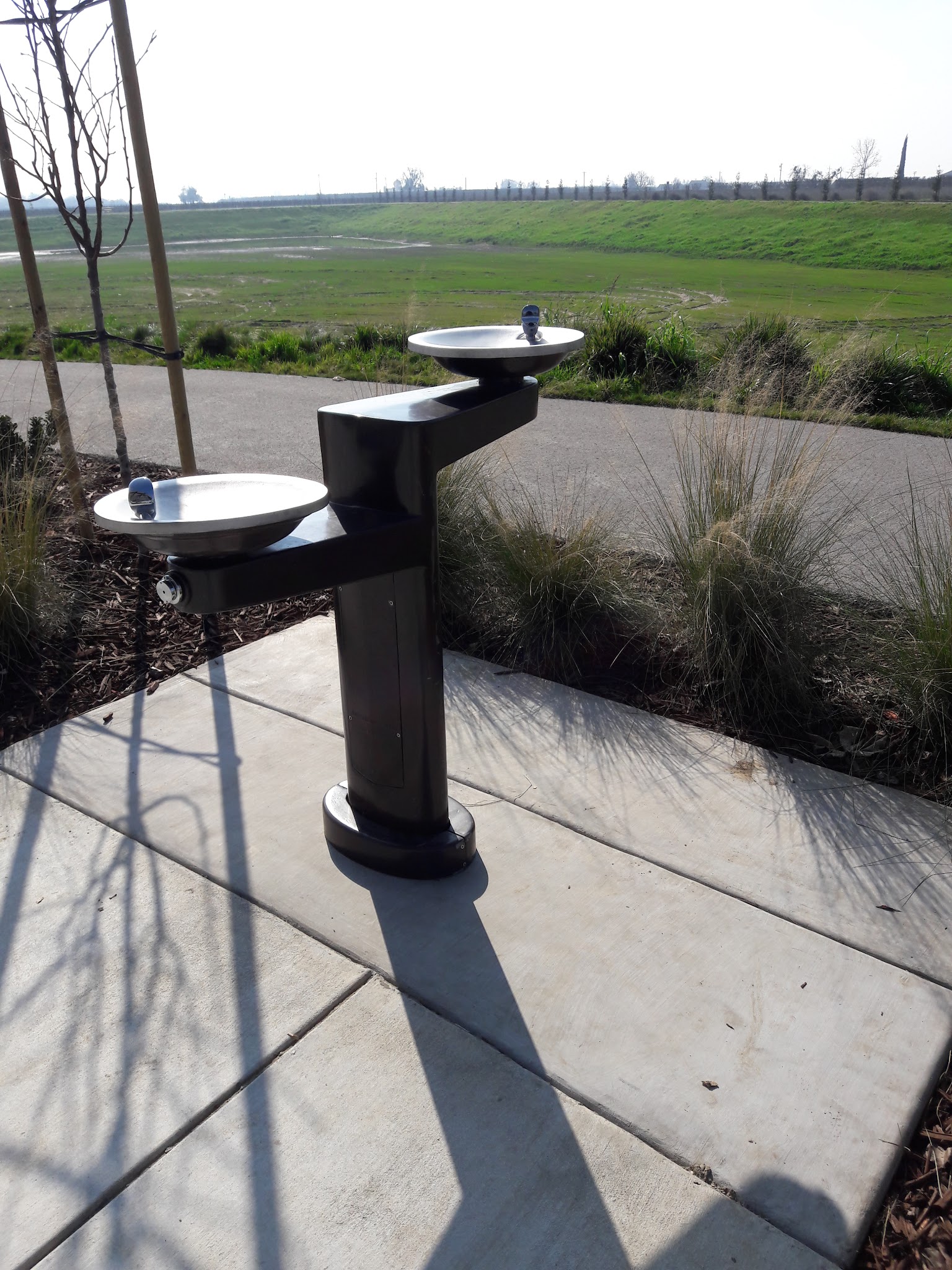 Orchard Lane Park - Lodi, CA