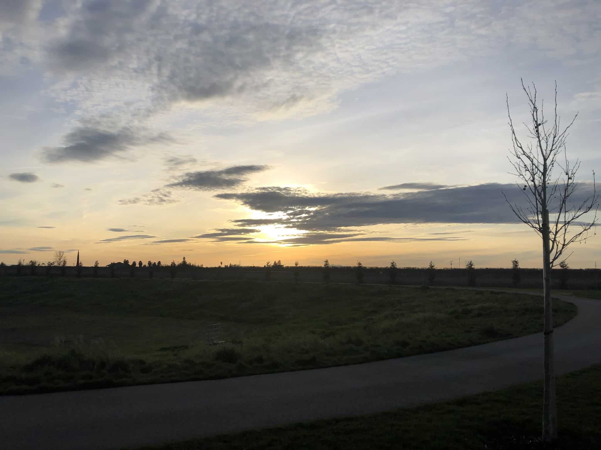 Orchard Lane Park - Lodi, CA