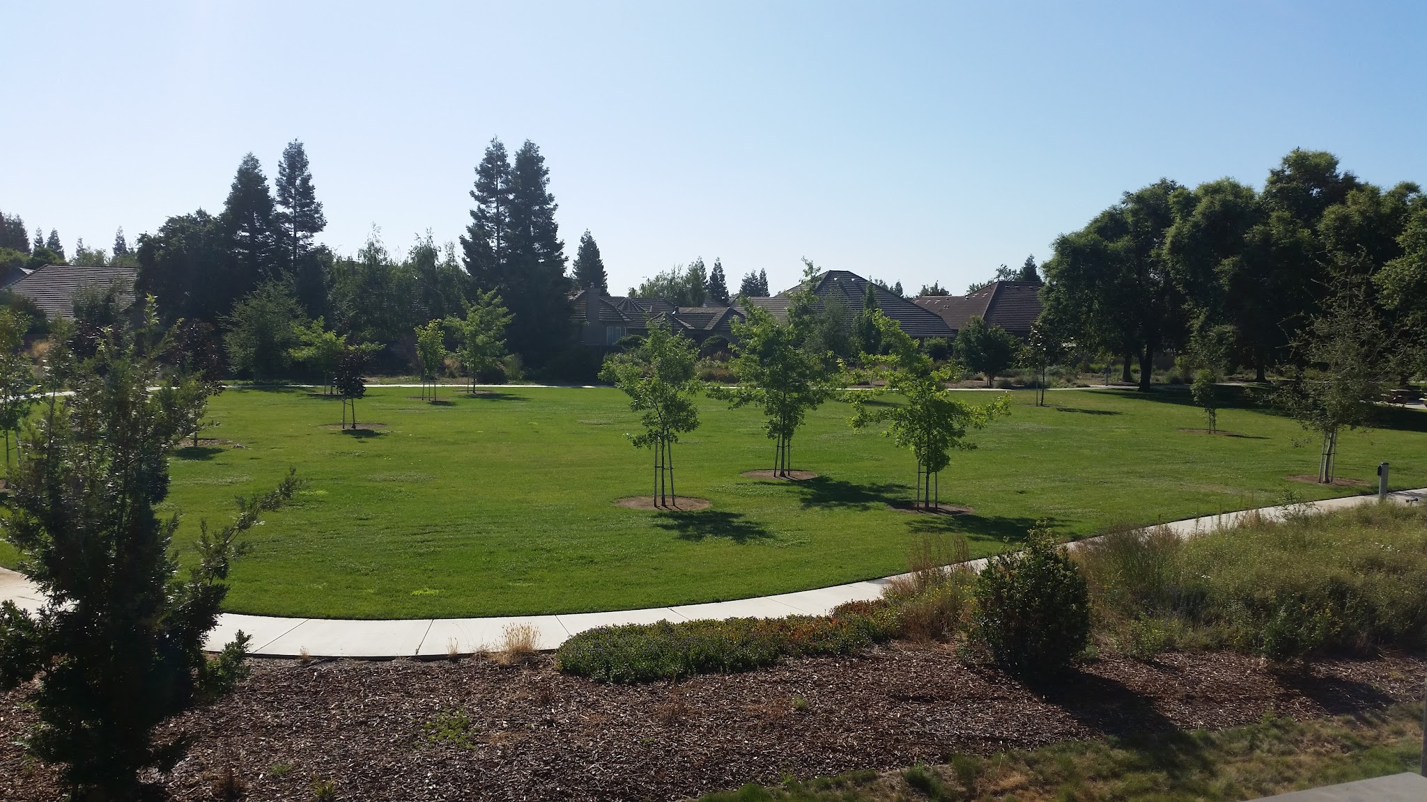 Roget Park - Lodi, CA