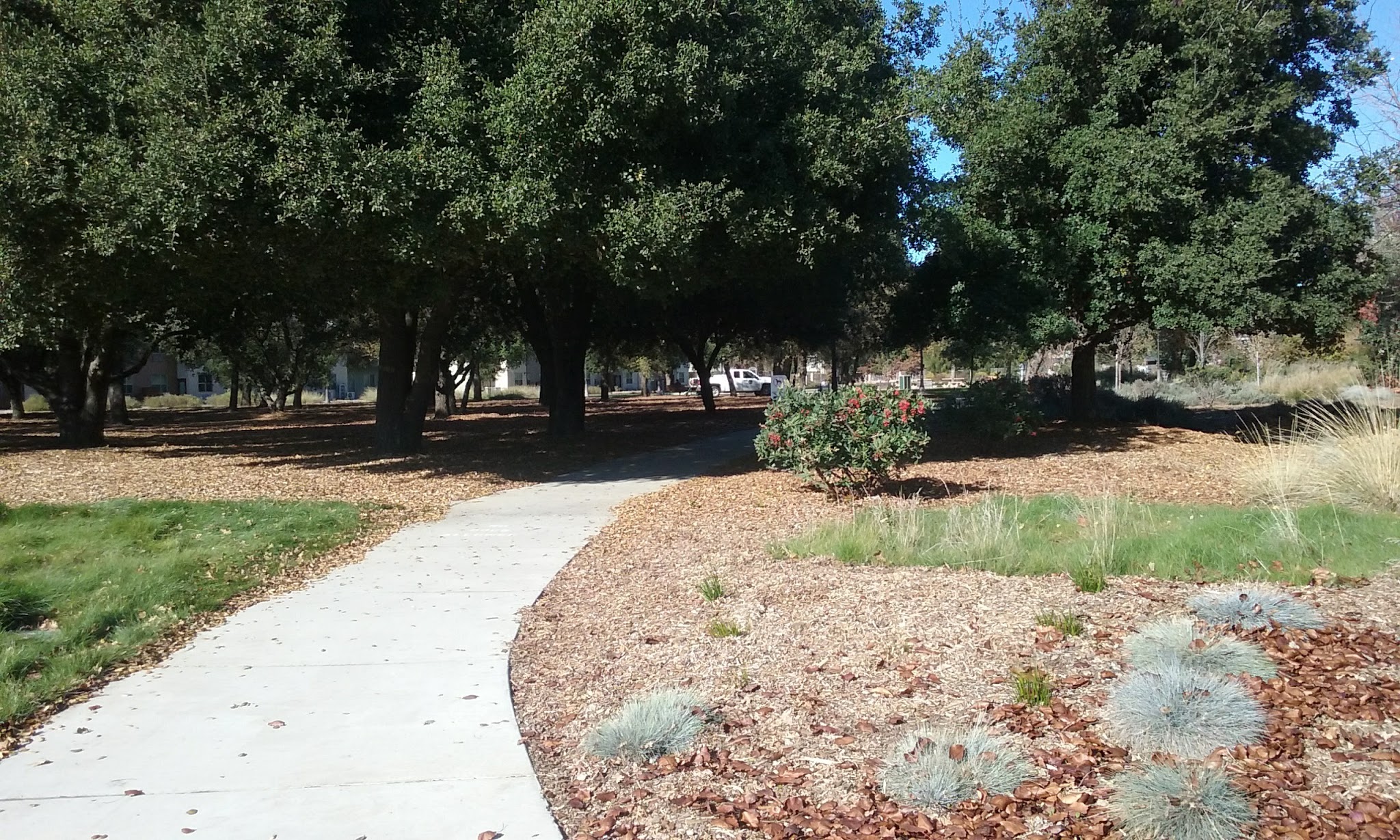Roget Park - Lodi, CA