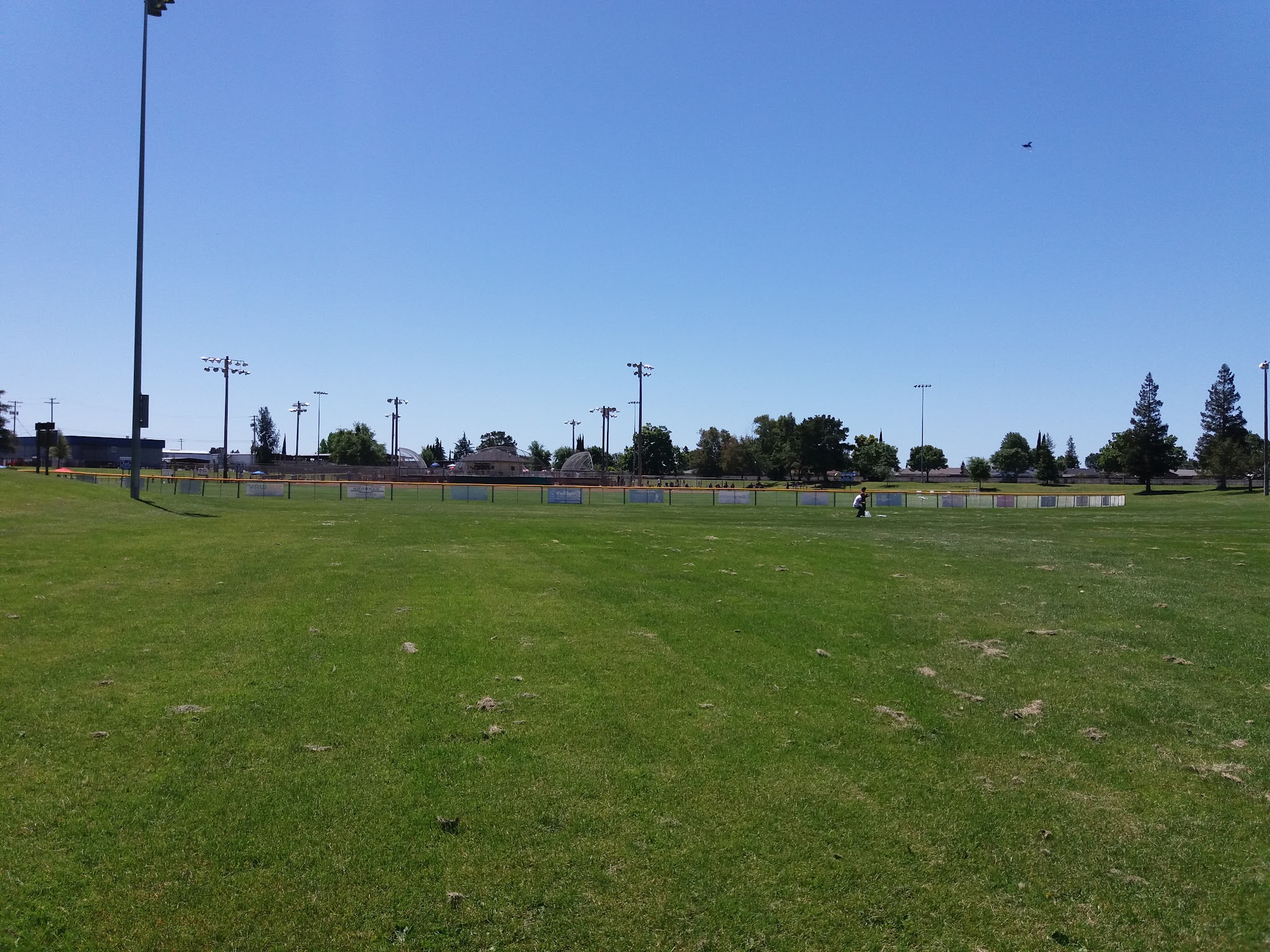 Salas Park - Lodi, CA