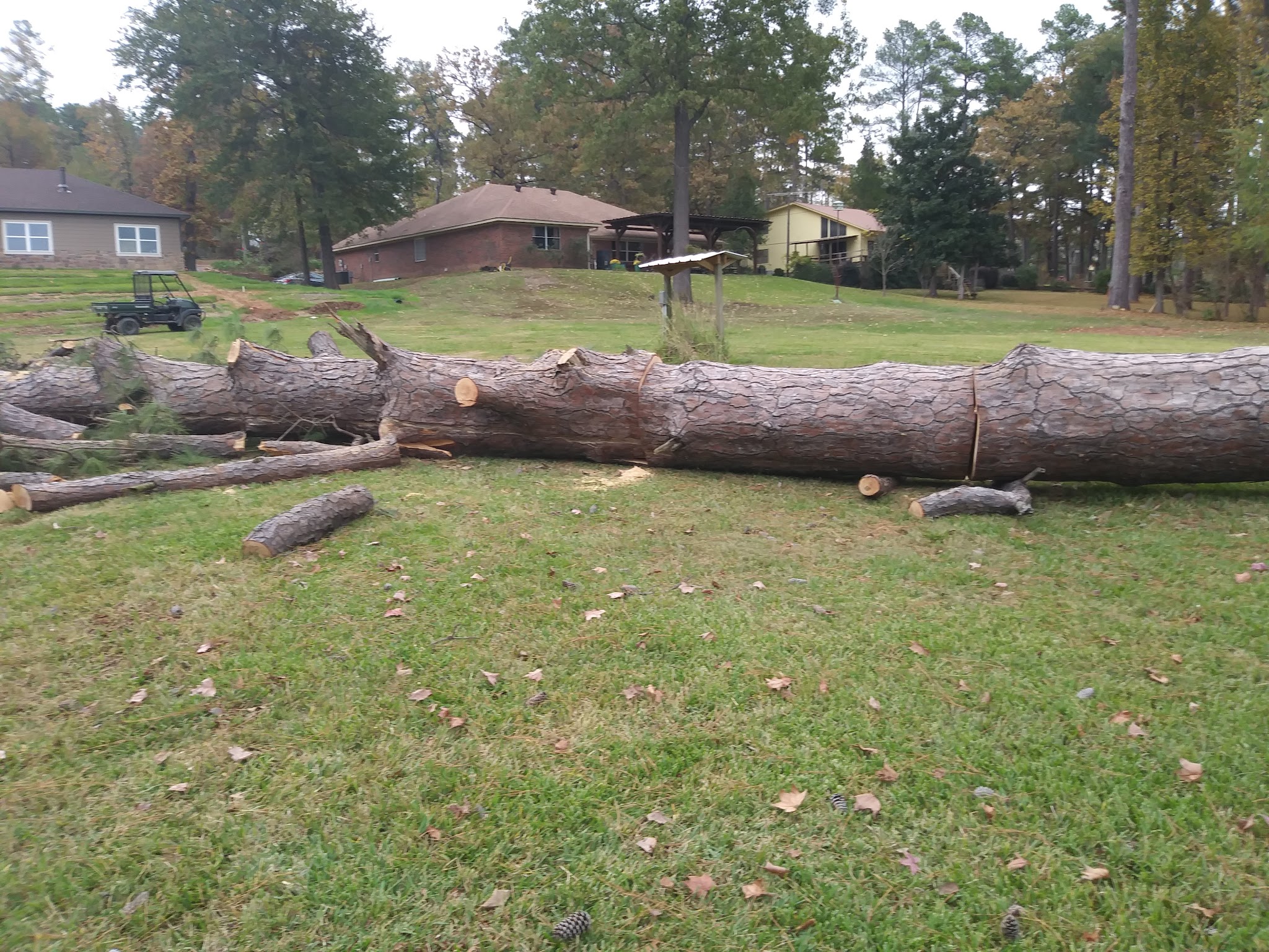 Lone Star City Park - Lone Star, TX
