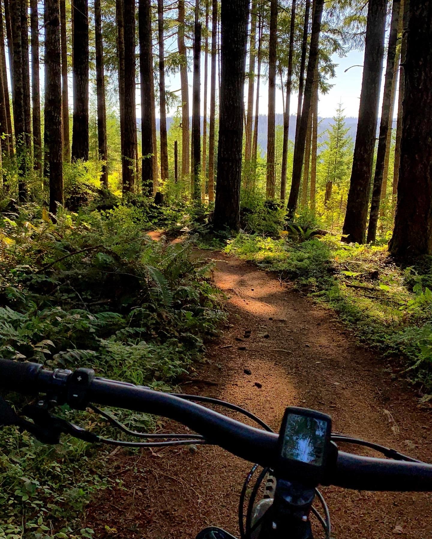 Carpenter Bypass Trail System - Lorane, OR