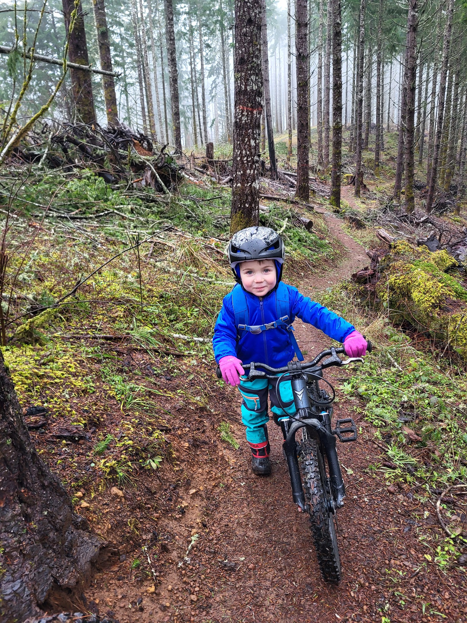 Carpenter Bypass Trail System - Lorane, OR