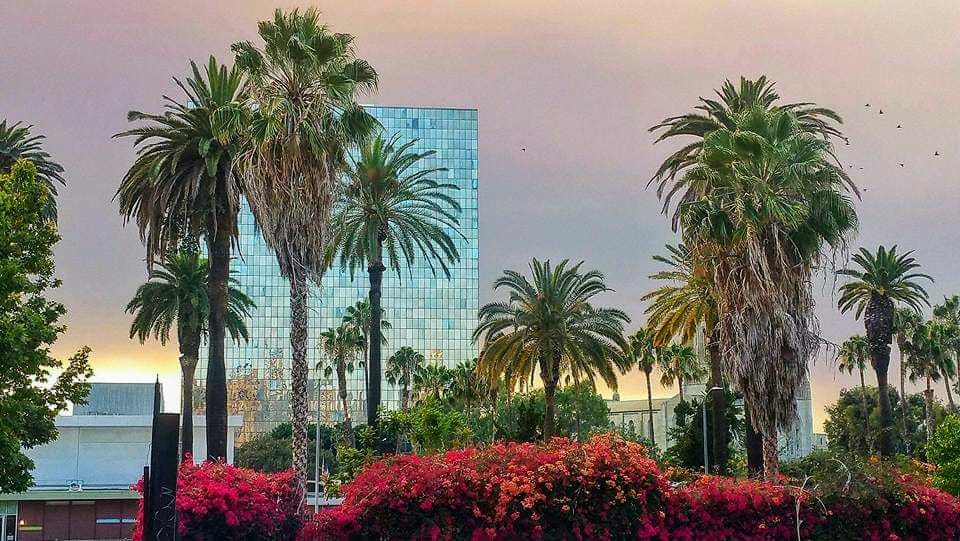 Lafayette Park - Los Angeles, CA