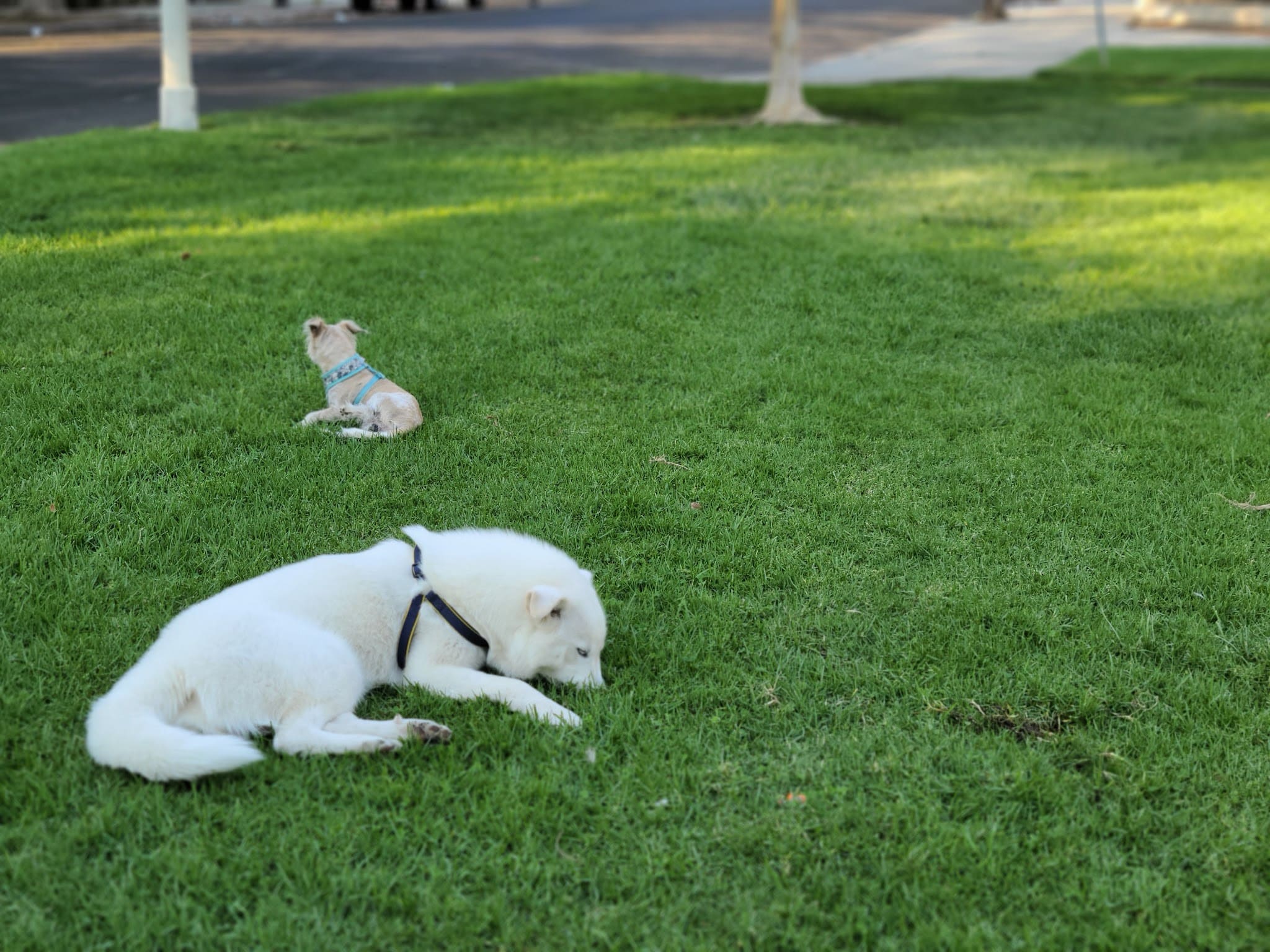 St. James Park - Los Angeles, CA