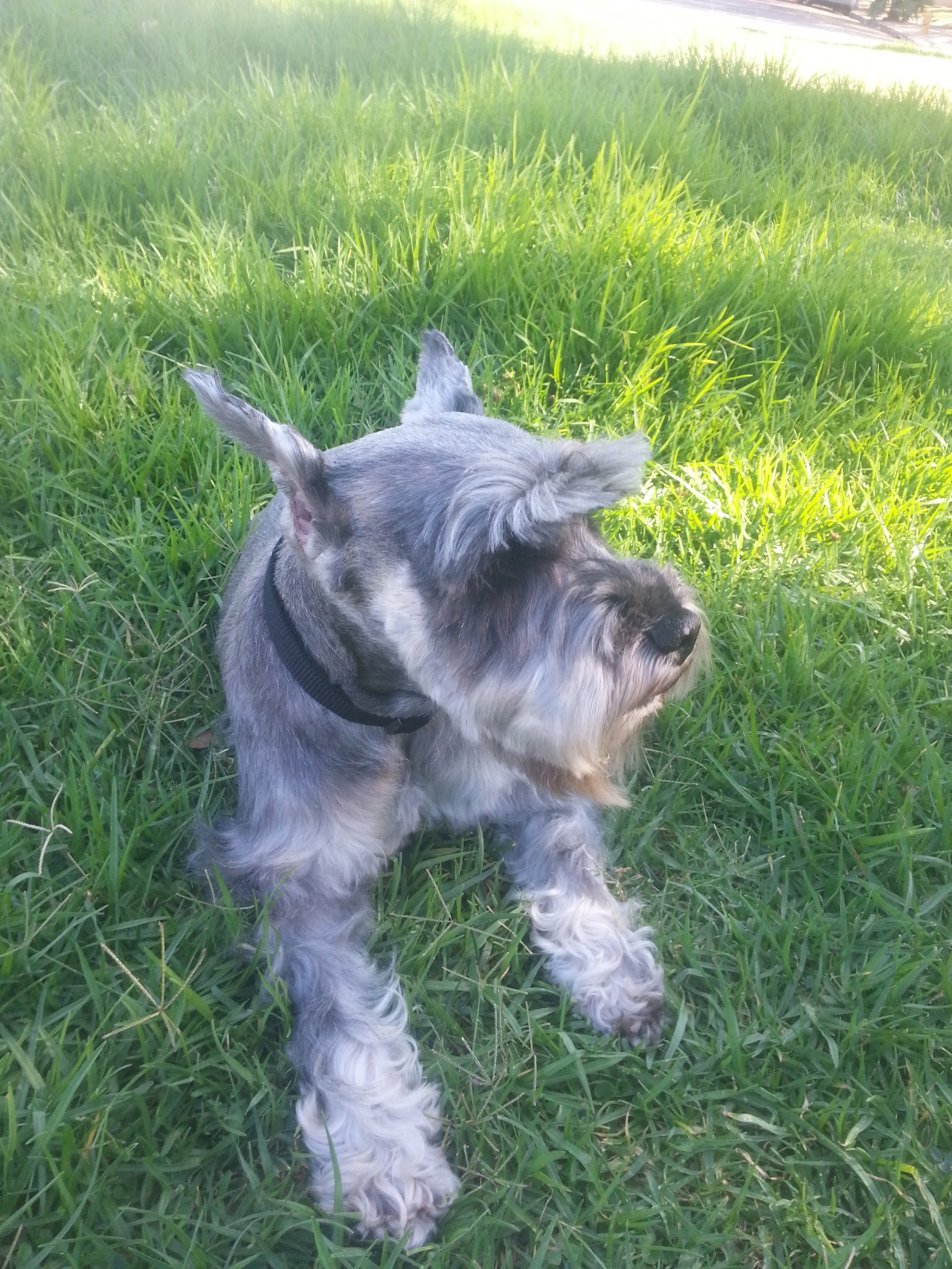 St. James Park - Los Angeles, CA