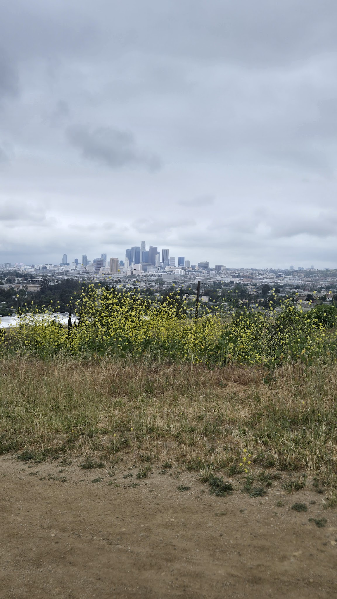 ASCOT HILLS PARK - Los Angeles, CA