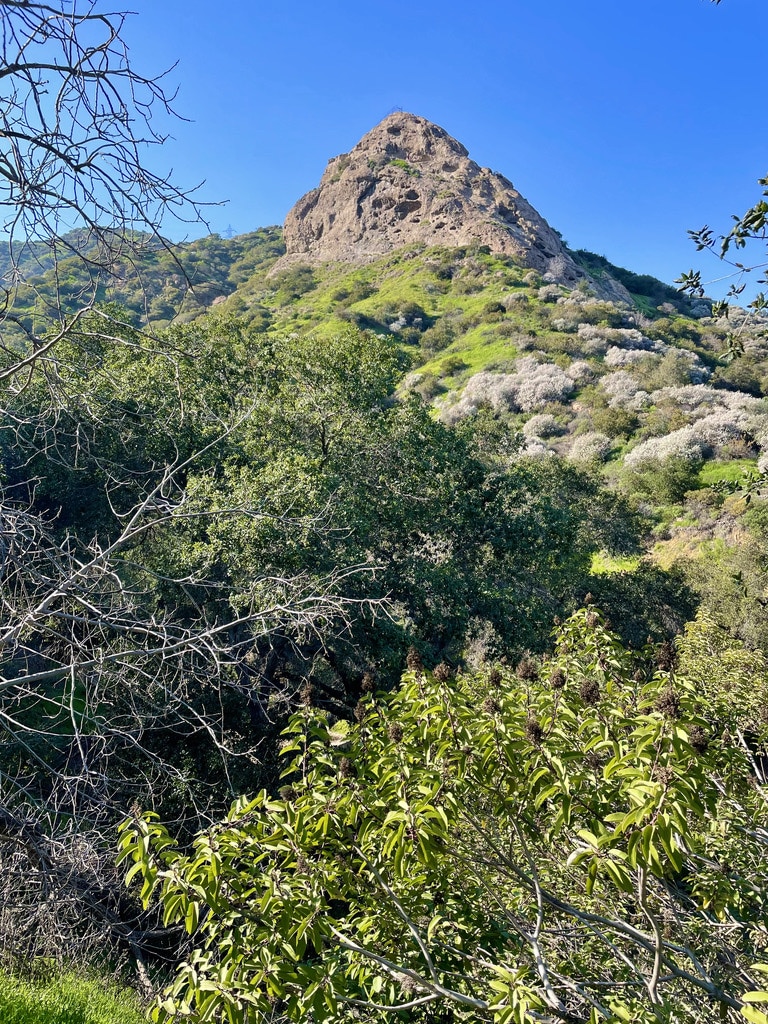 Bee Rock - Los Angeles, CA