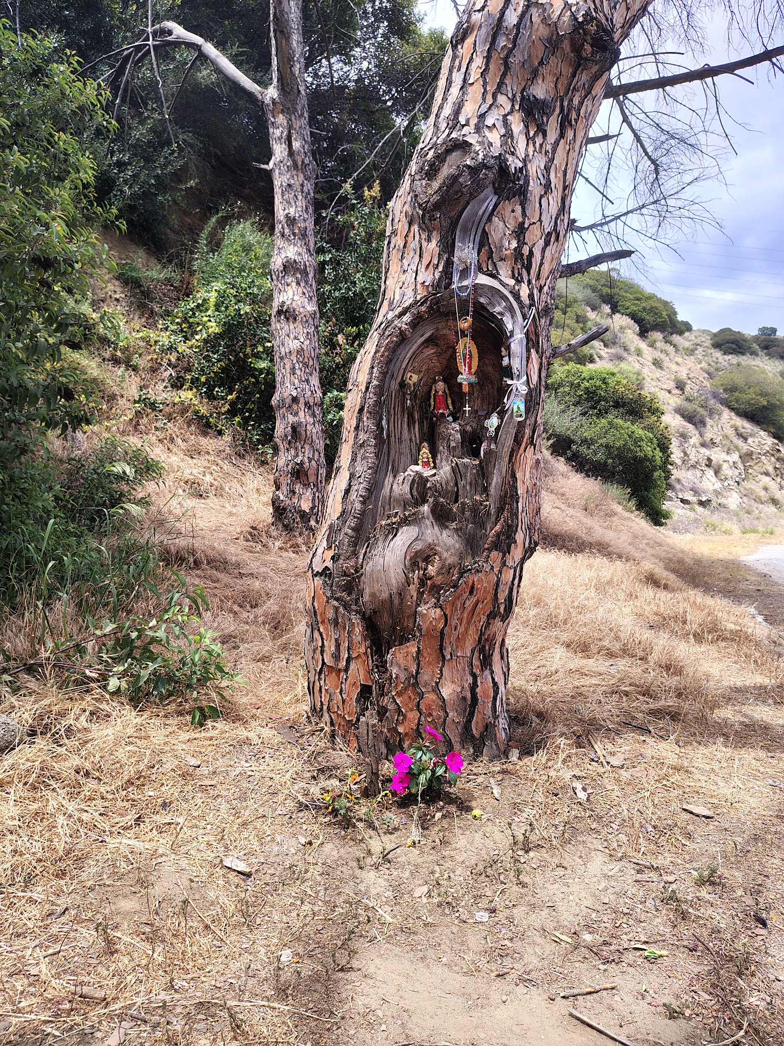 Bee Rock - Los Angeles, CA