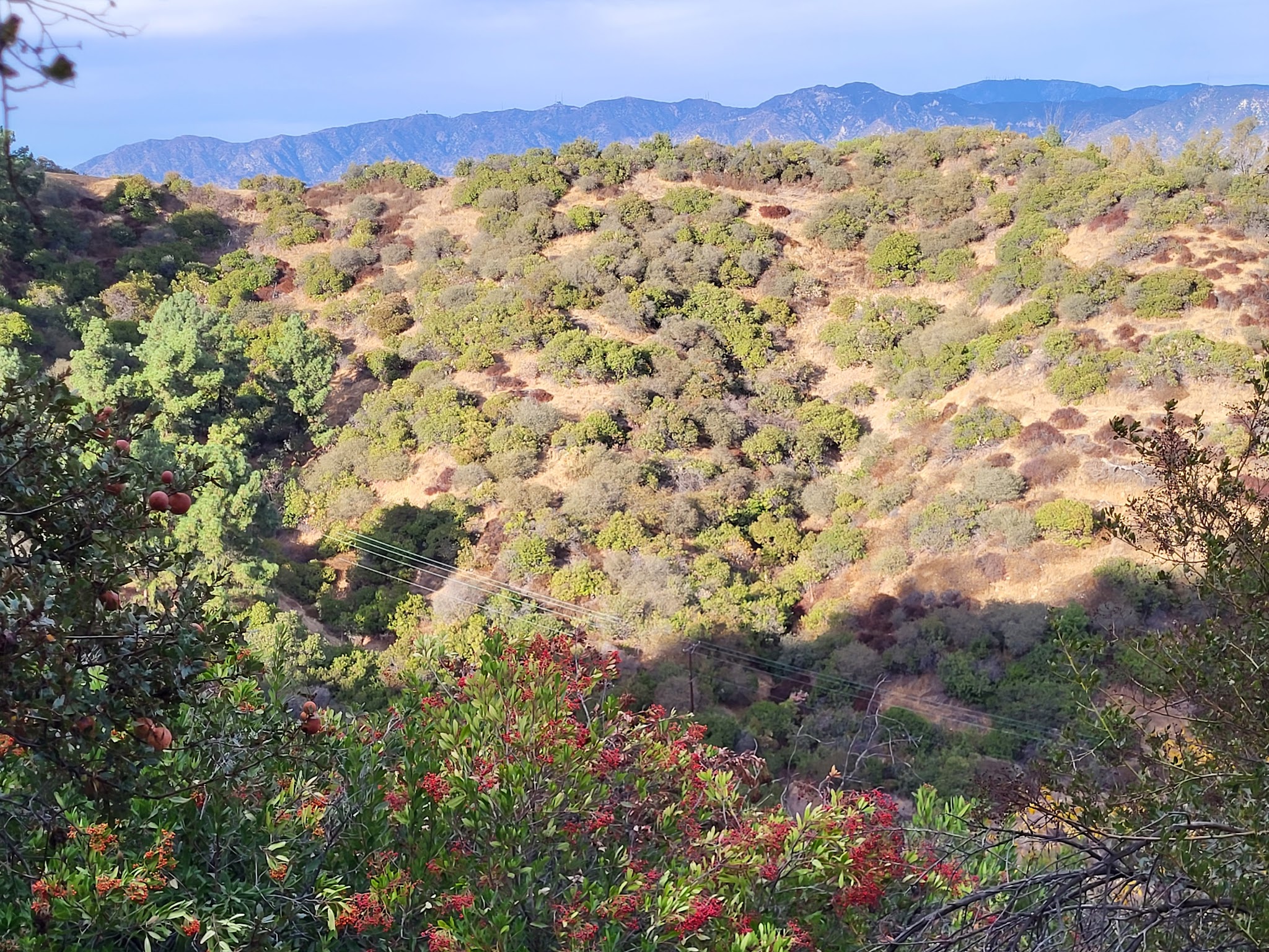 Bee Rock - Los Angeles, CA