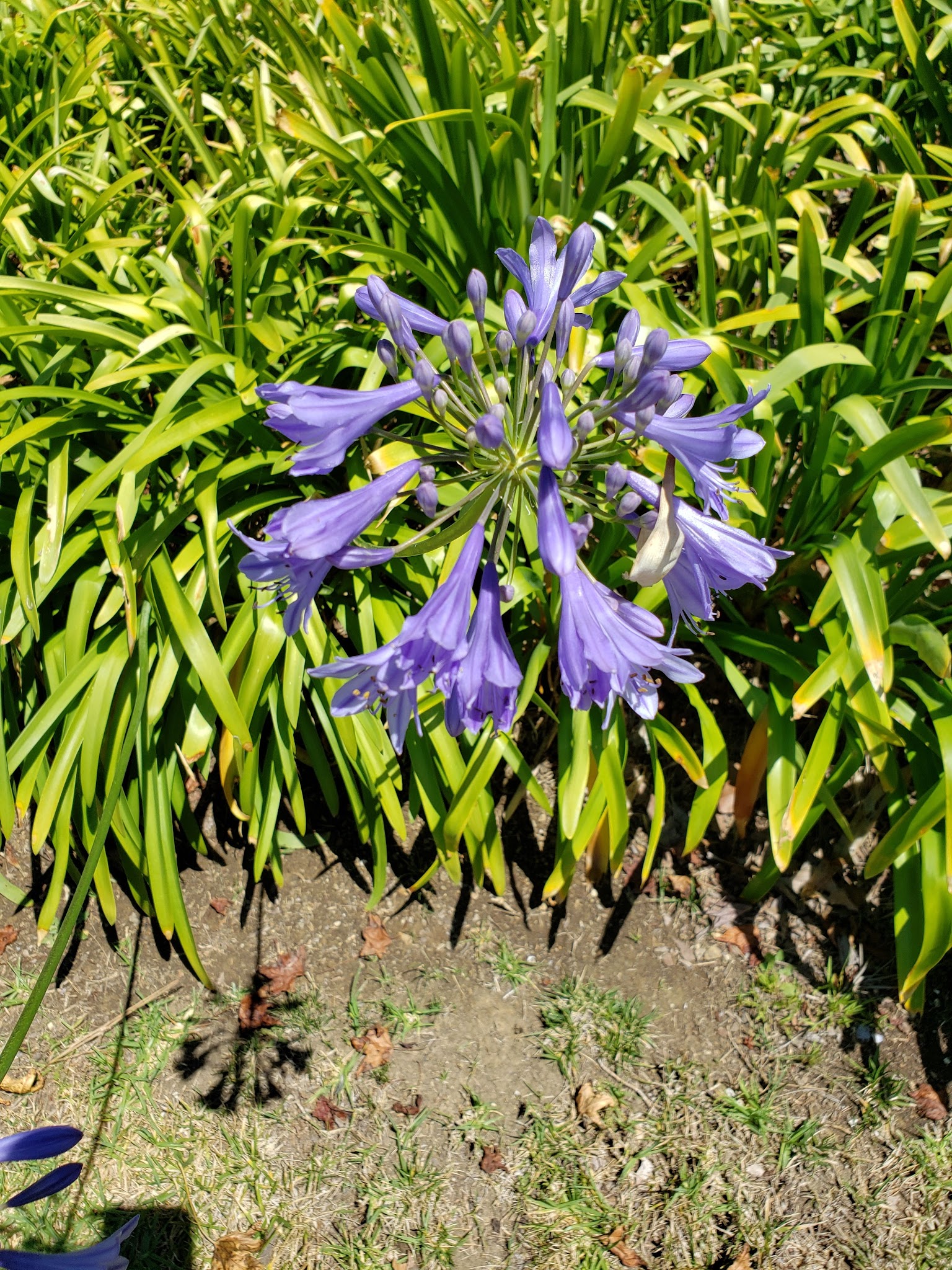 Beverly Glen Park - Los Angeles, CA