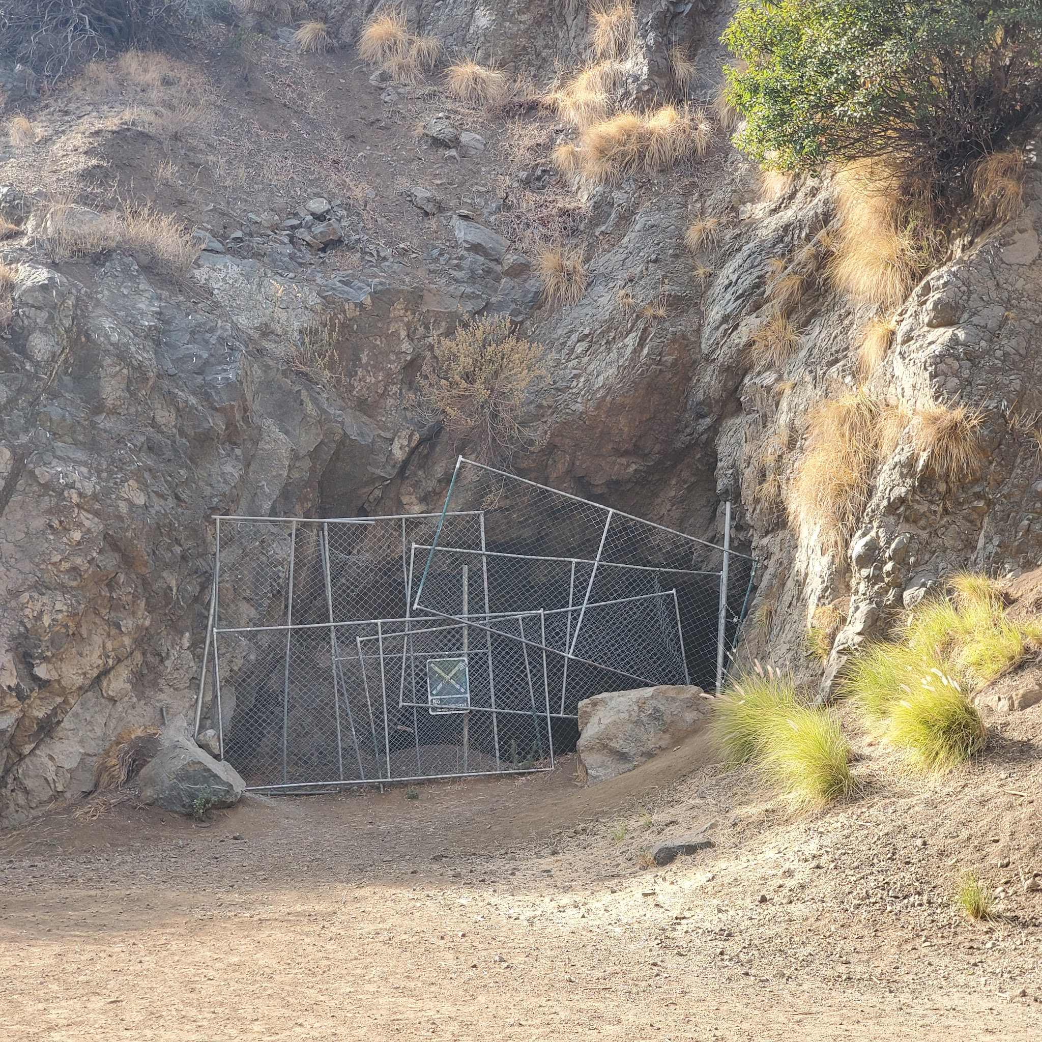 Canyon Hike - Los Angeles, CA