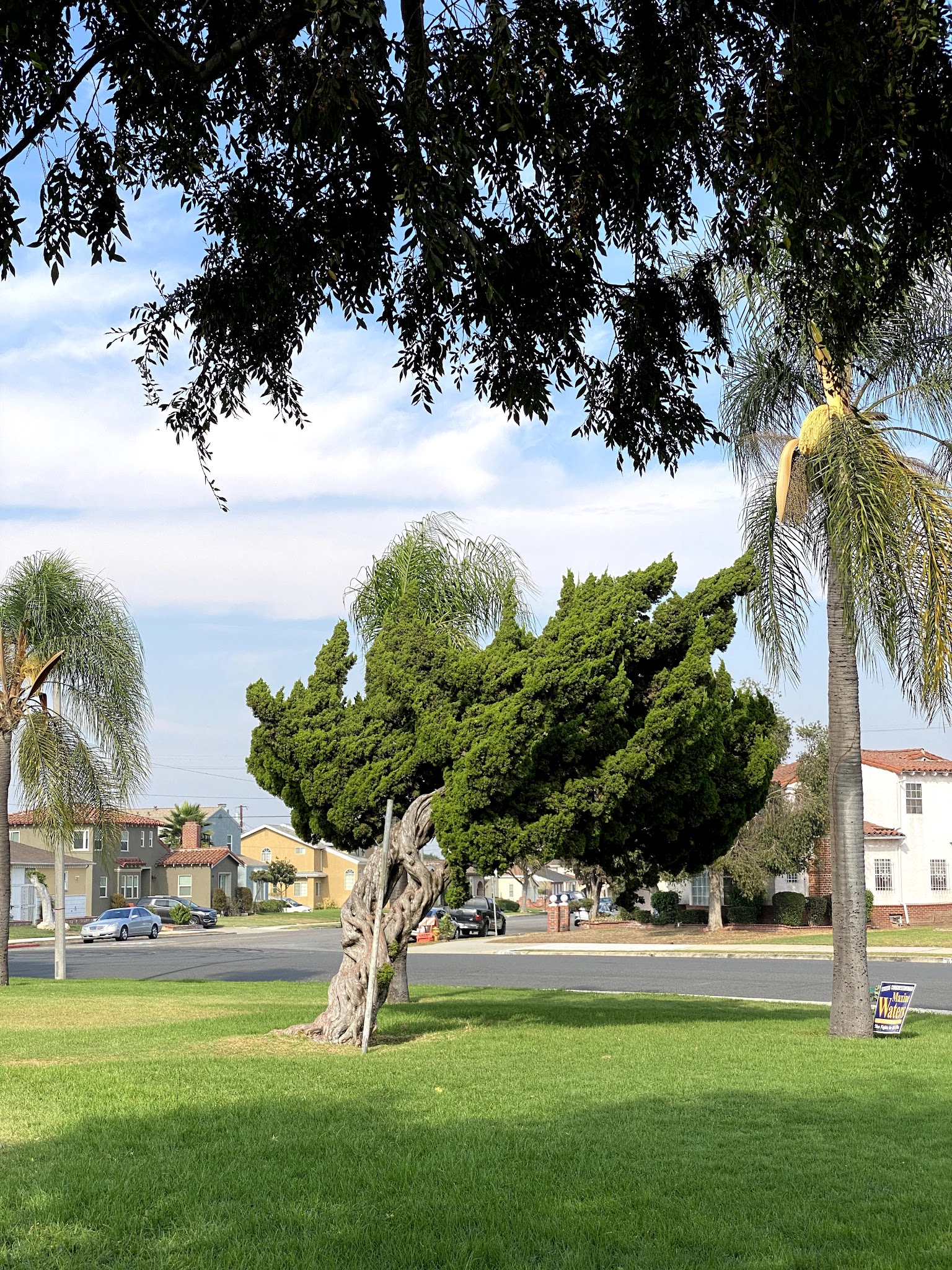 Circle Park - Los Angeles, CA