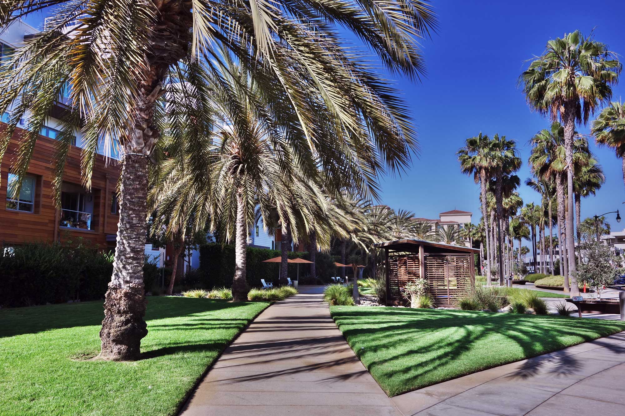 Common Grounds Park - Los Angeles, CA