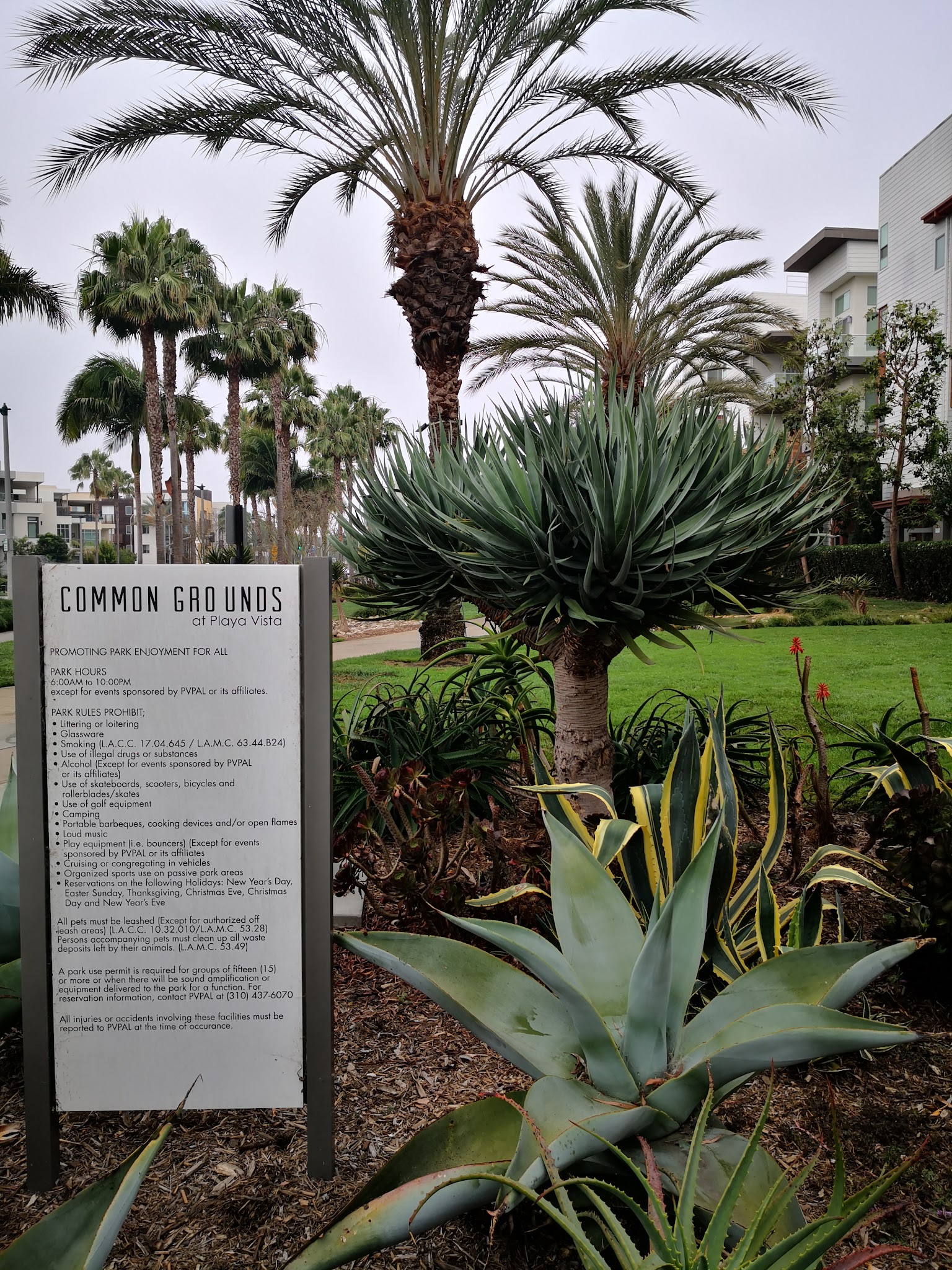 Common Grounds Park - Los Angeles, CA