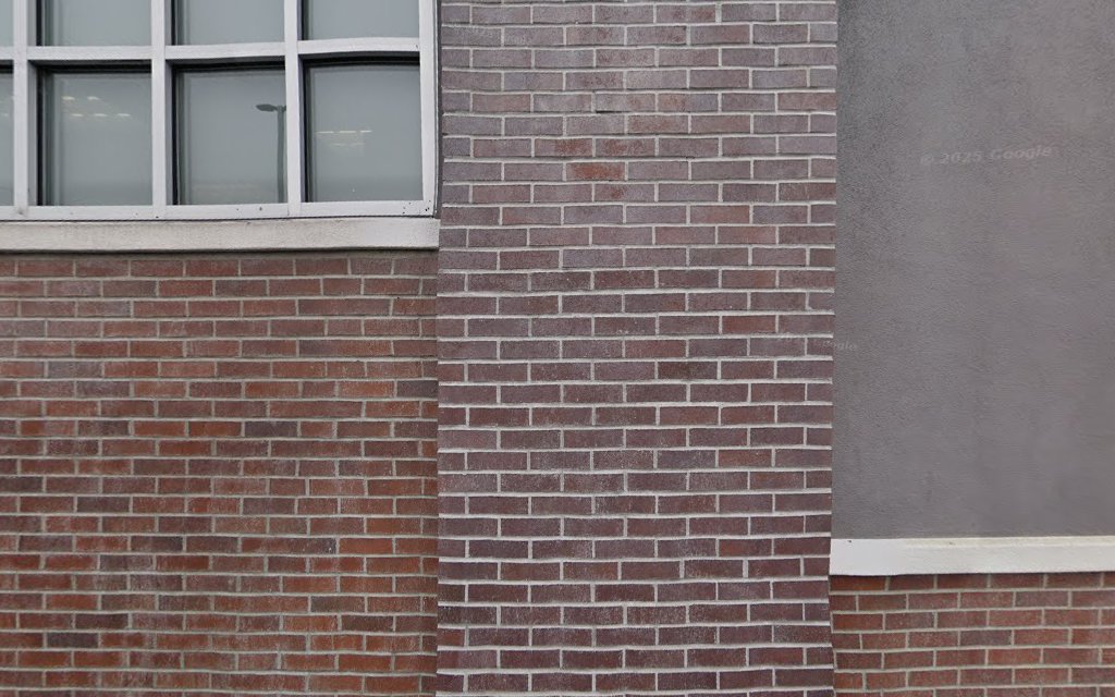 dog drumming - Los Angeles, CA