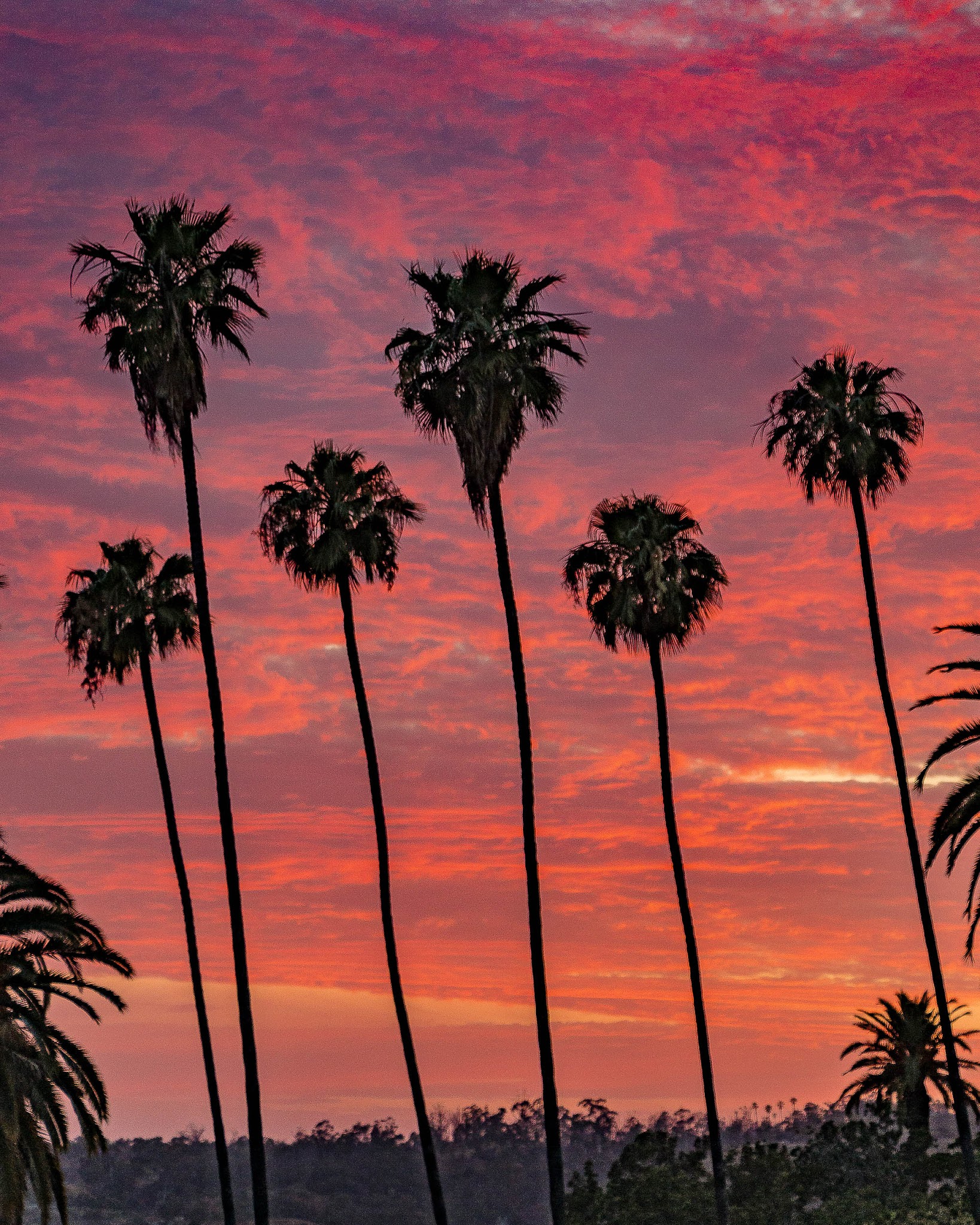 Ela Park - Los Angeles, CA