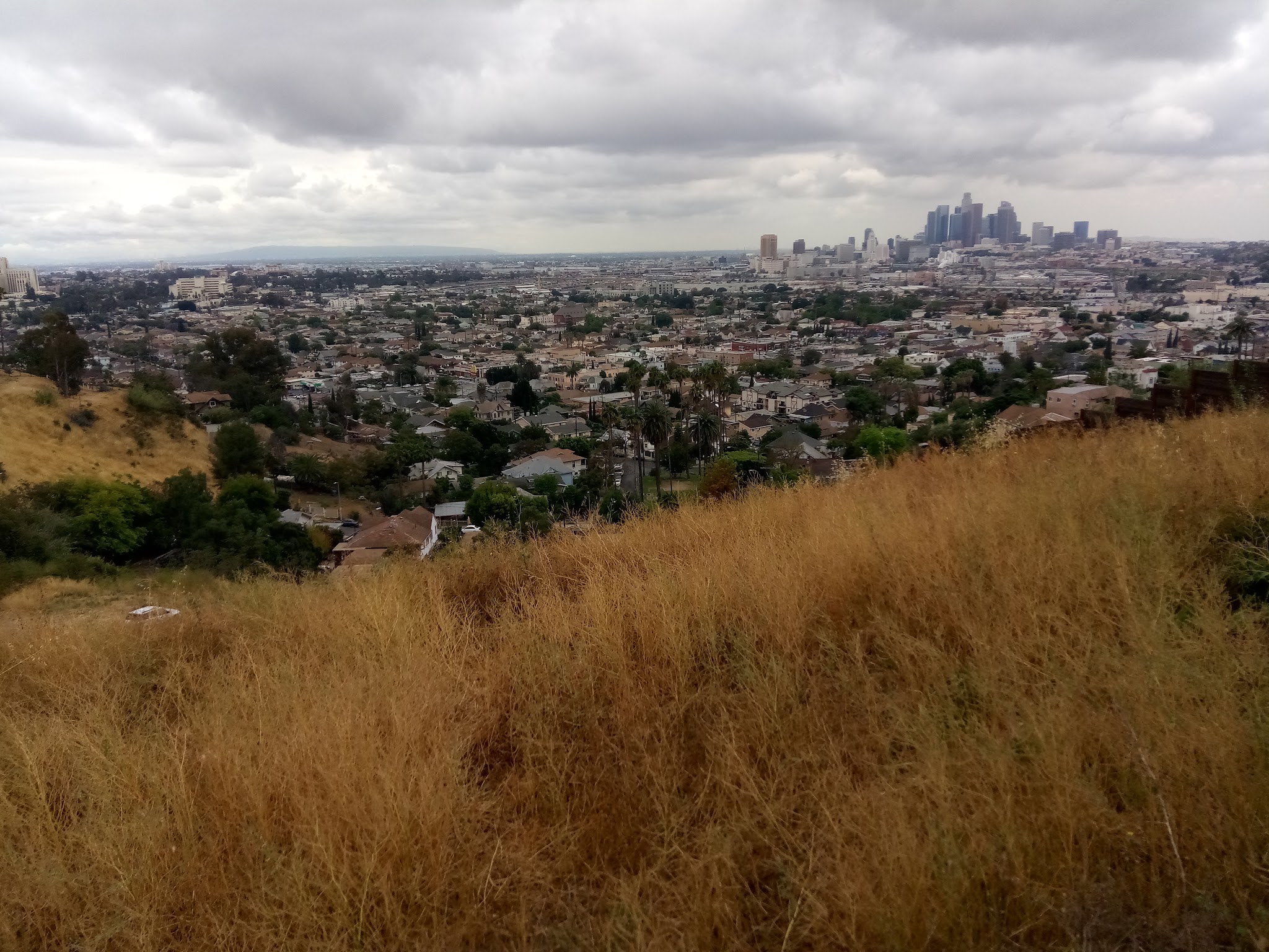 Ela Park - Los Angeles, CA