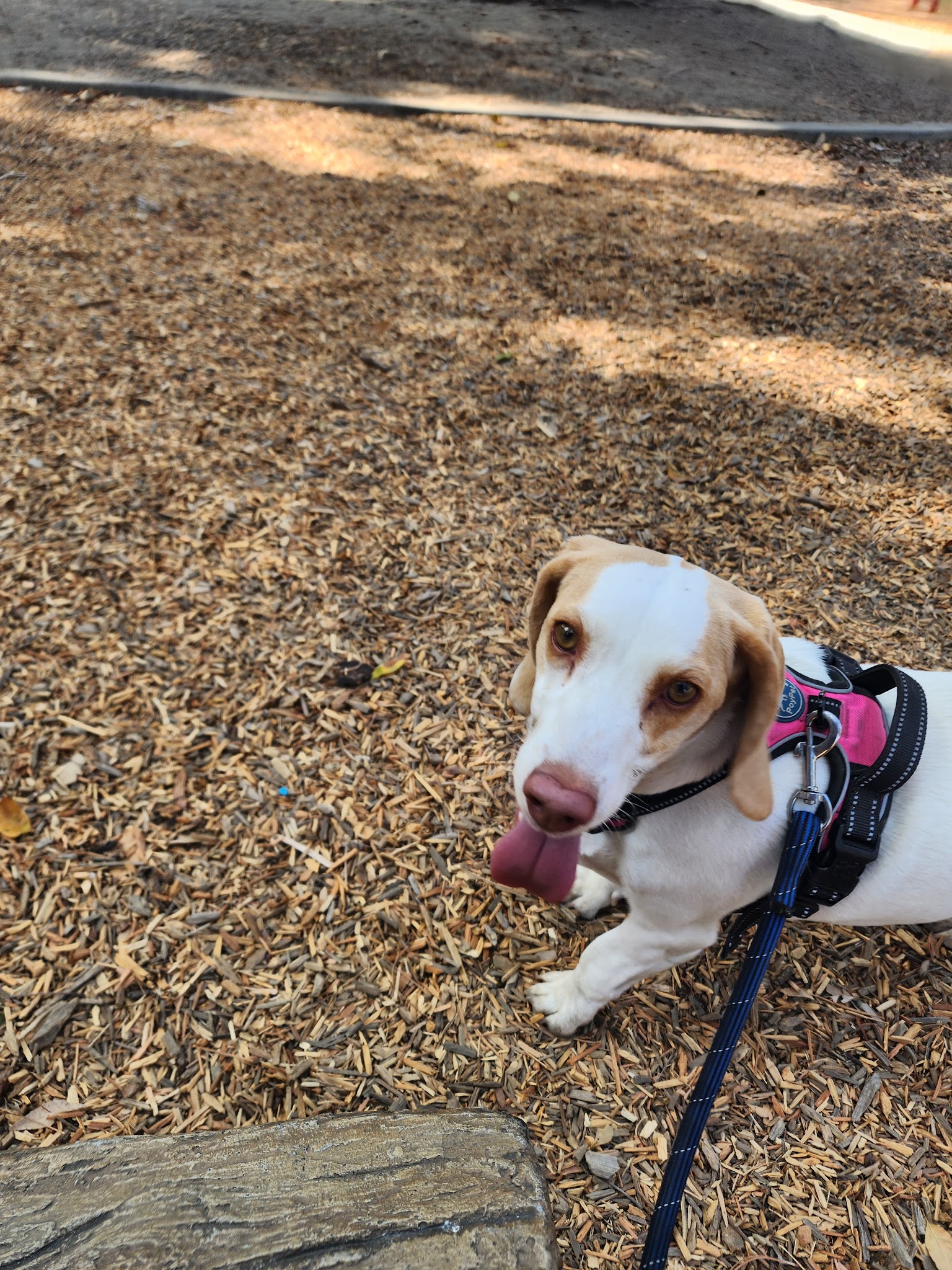 Eugene‎ A. Obregón Park - Los Angeles, CA